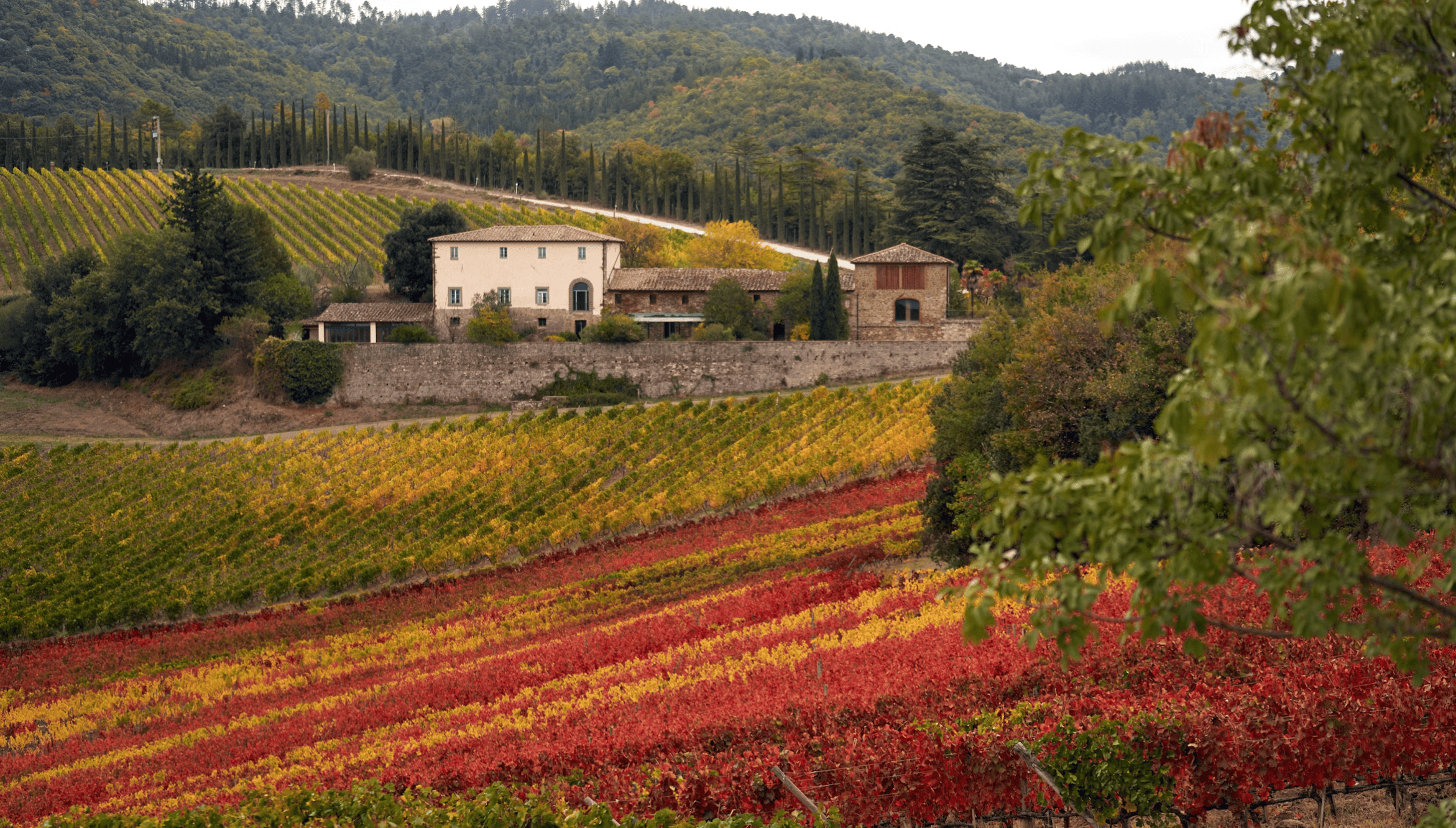 Toscane in de herfst is betoverend - reisgids en tips voor Toscane