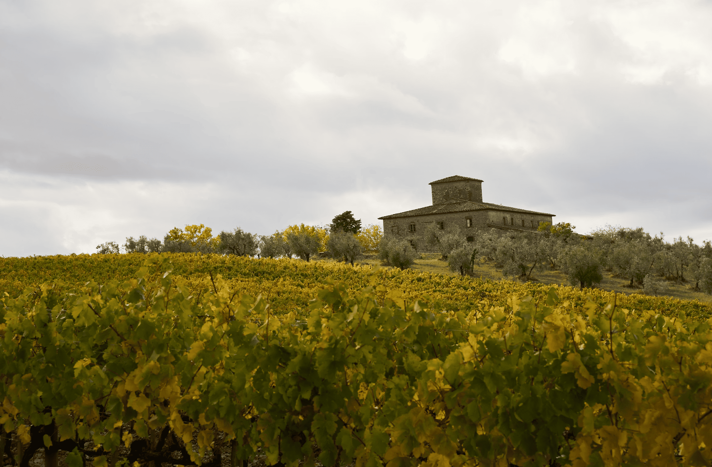 Vakantie vieren tussen de wijngaarden van Toscane
