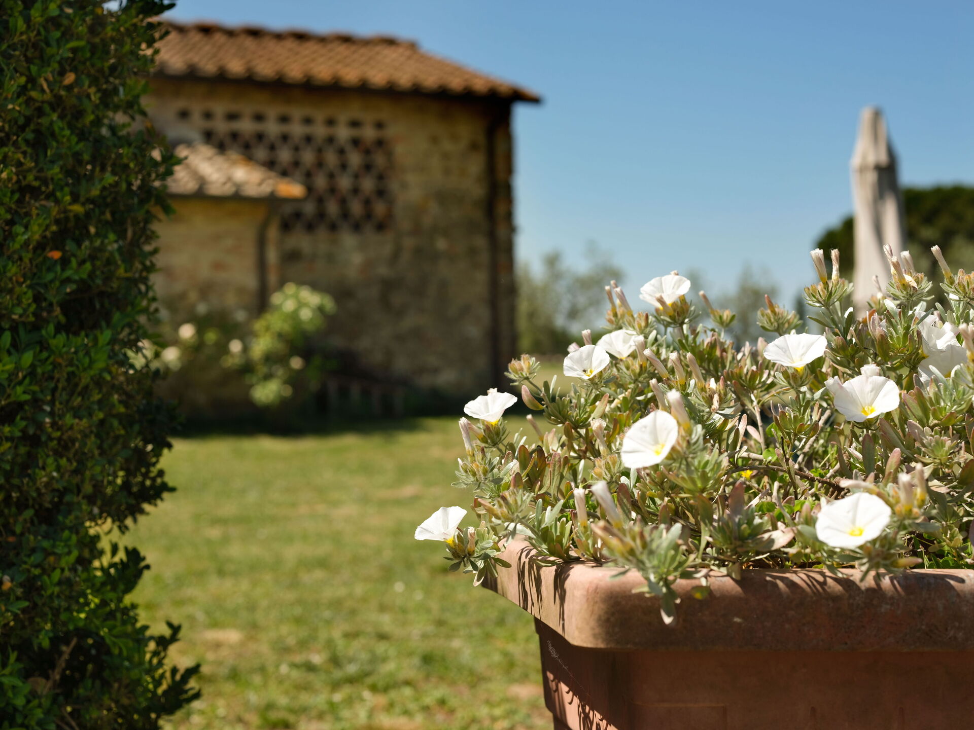 Pozzo Dei Desideri 2 tuin in Mercatale