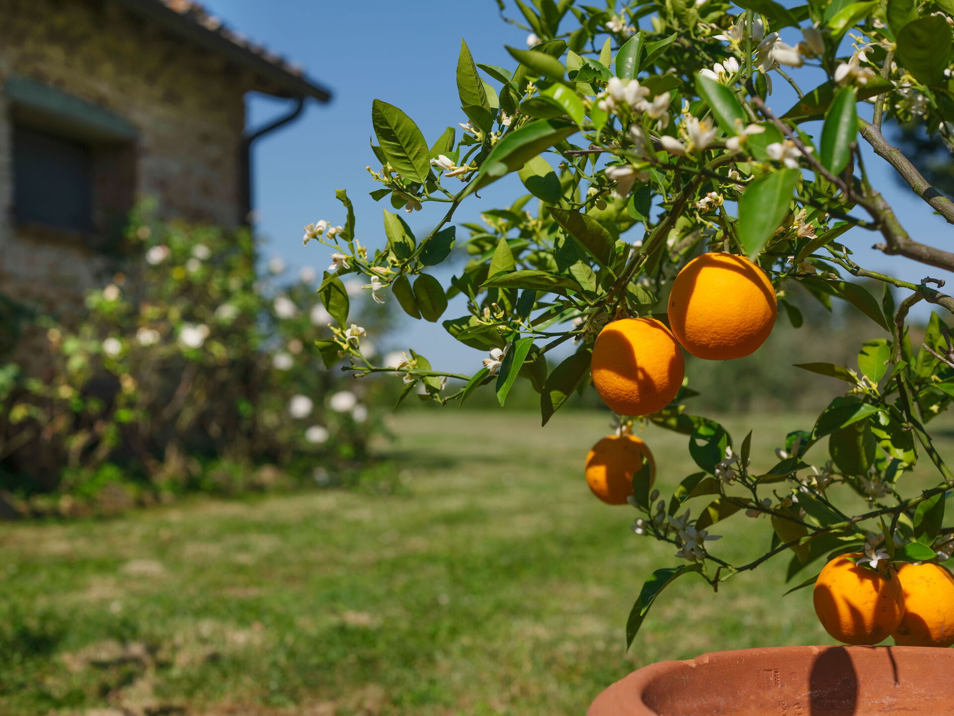 Pozzo Dei Desideri 2 slaapkamer in Mercatale