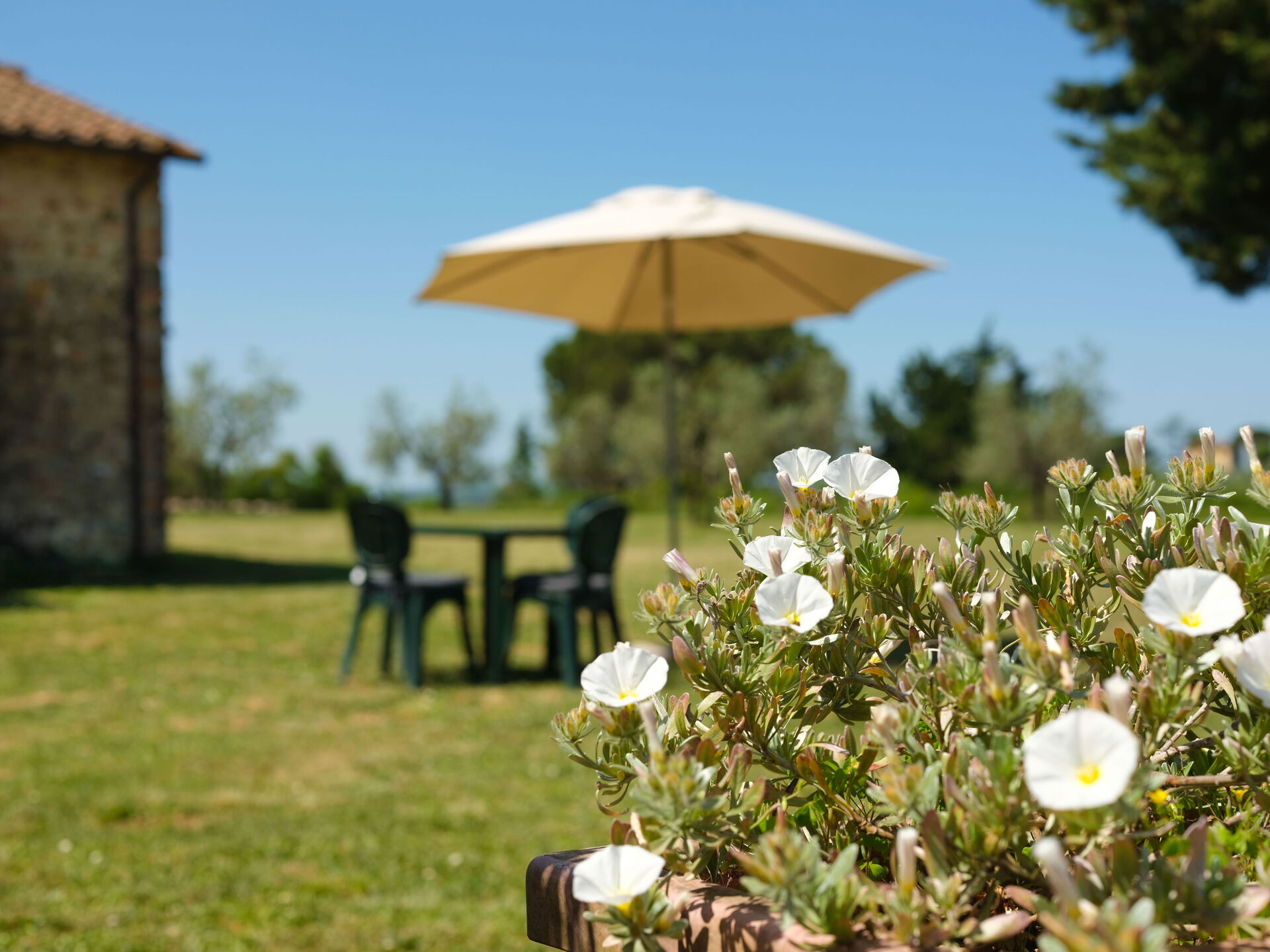 Pozzo Dei Desideri 2 keuken in Mercatale