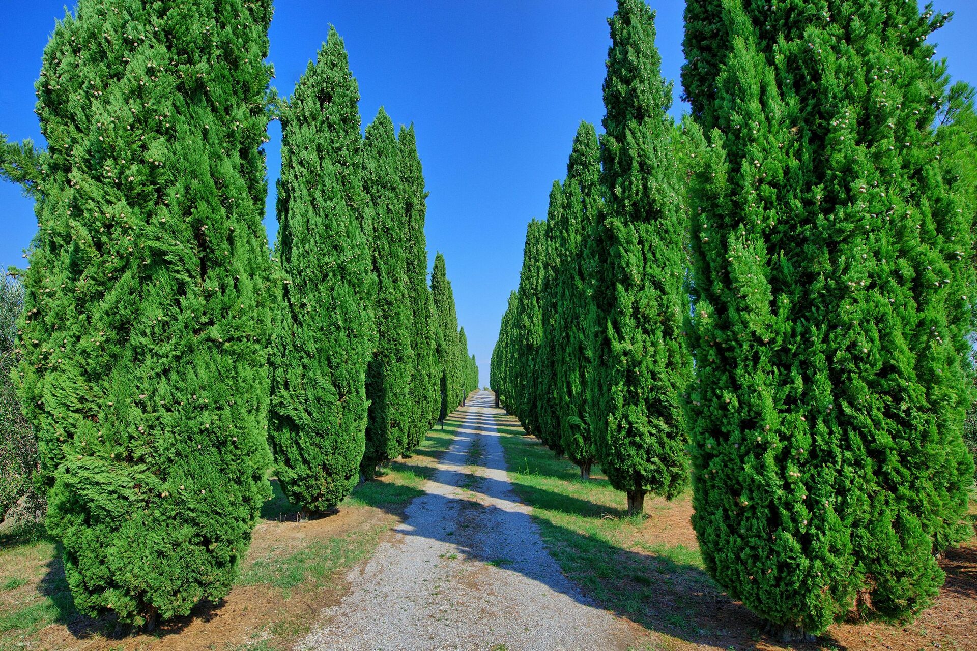 Casale Giulio slaapkamer in Cetona