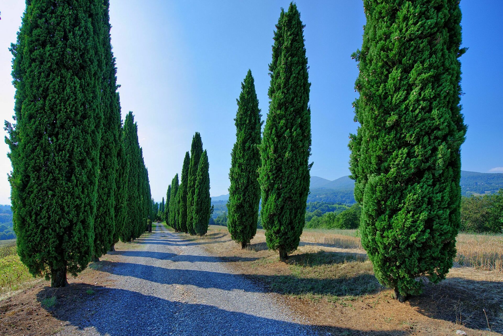 Casale Giulio badkamer in Cetona