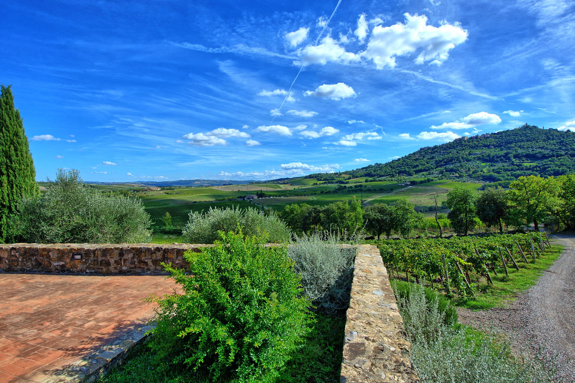 Brunello 2 - foto 3