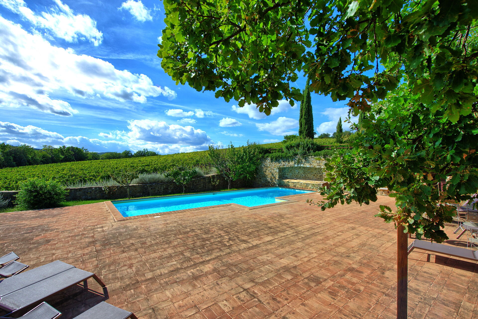 Brunello 2 - foto 5