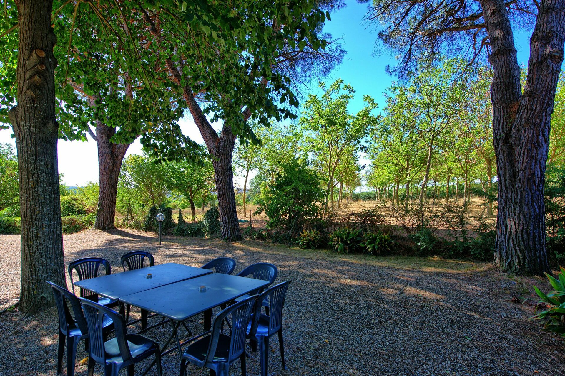 Casale Ambra interieur in Ambra