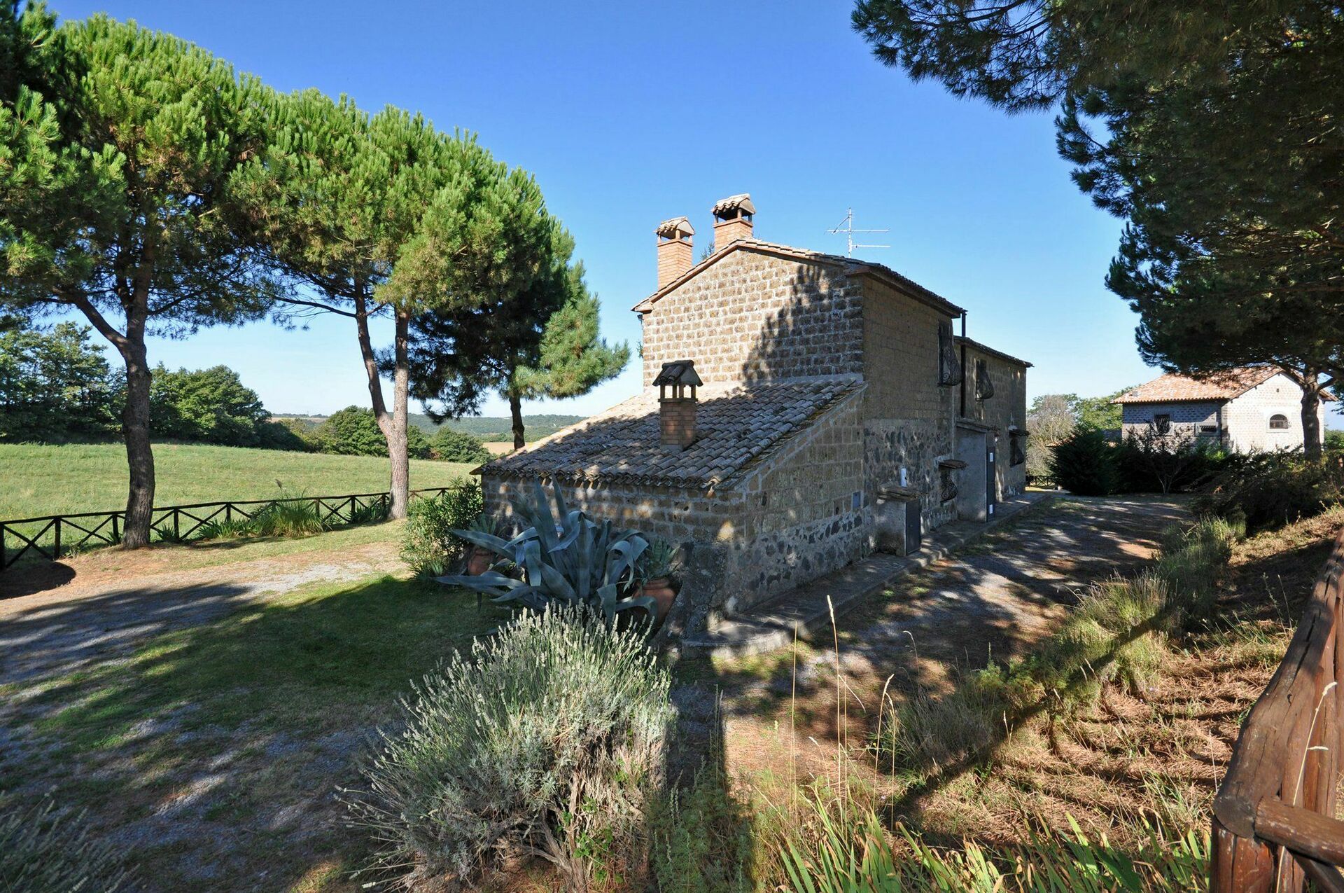 Ginestrella - foto 2