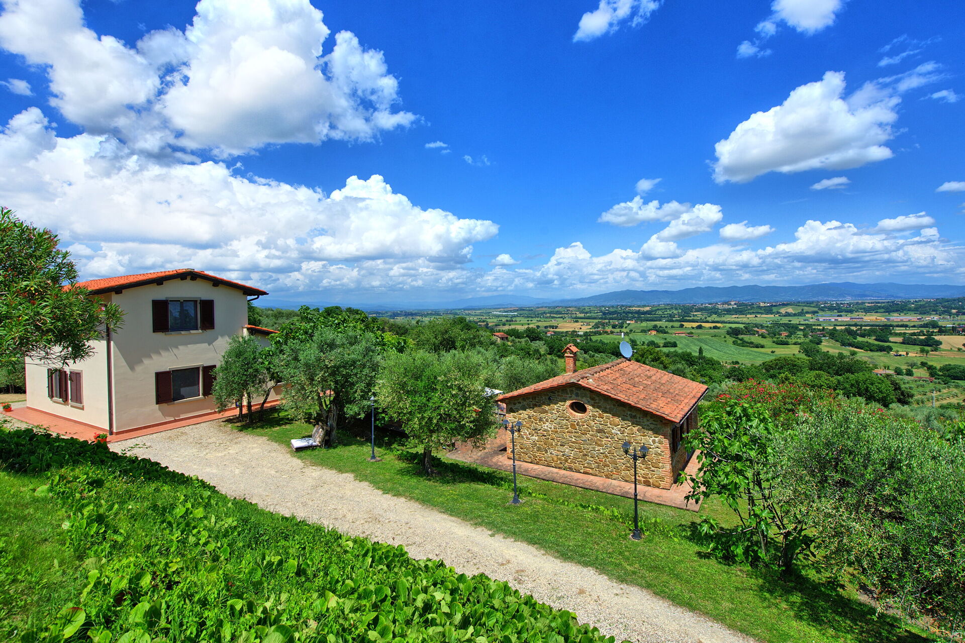 Villa Ulivi in Lucignano, Toscane