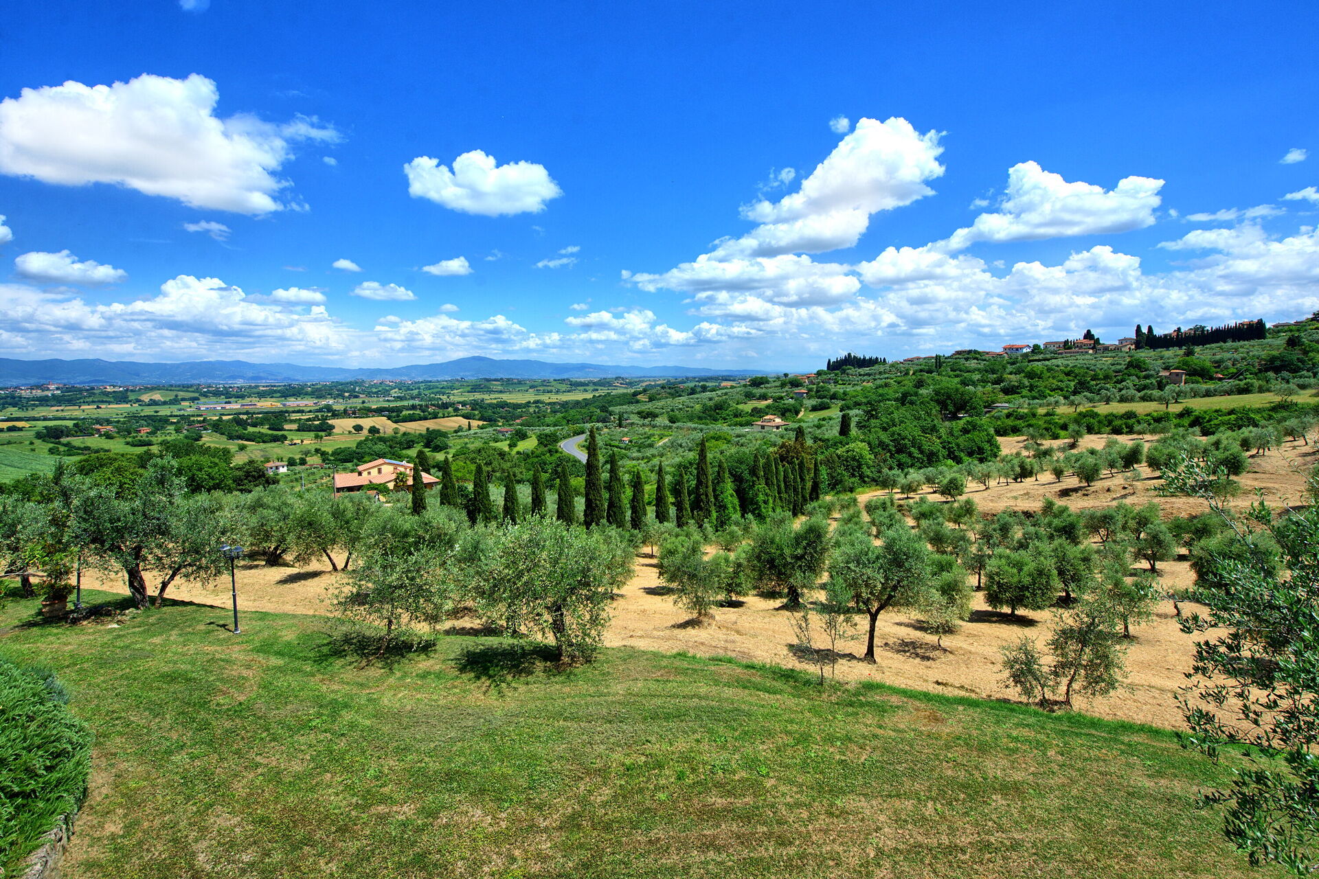 Villa Ulivi - foto 4