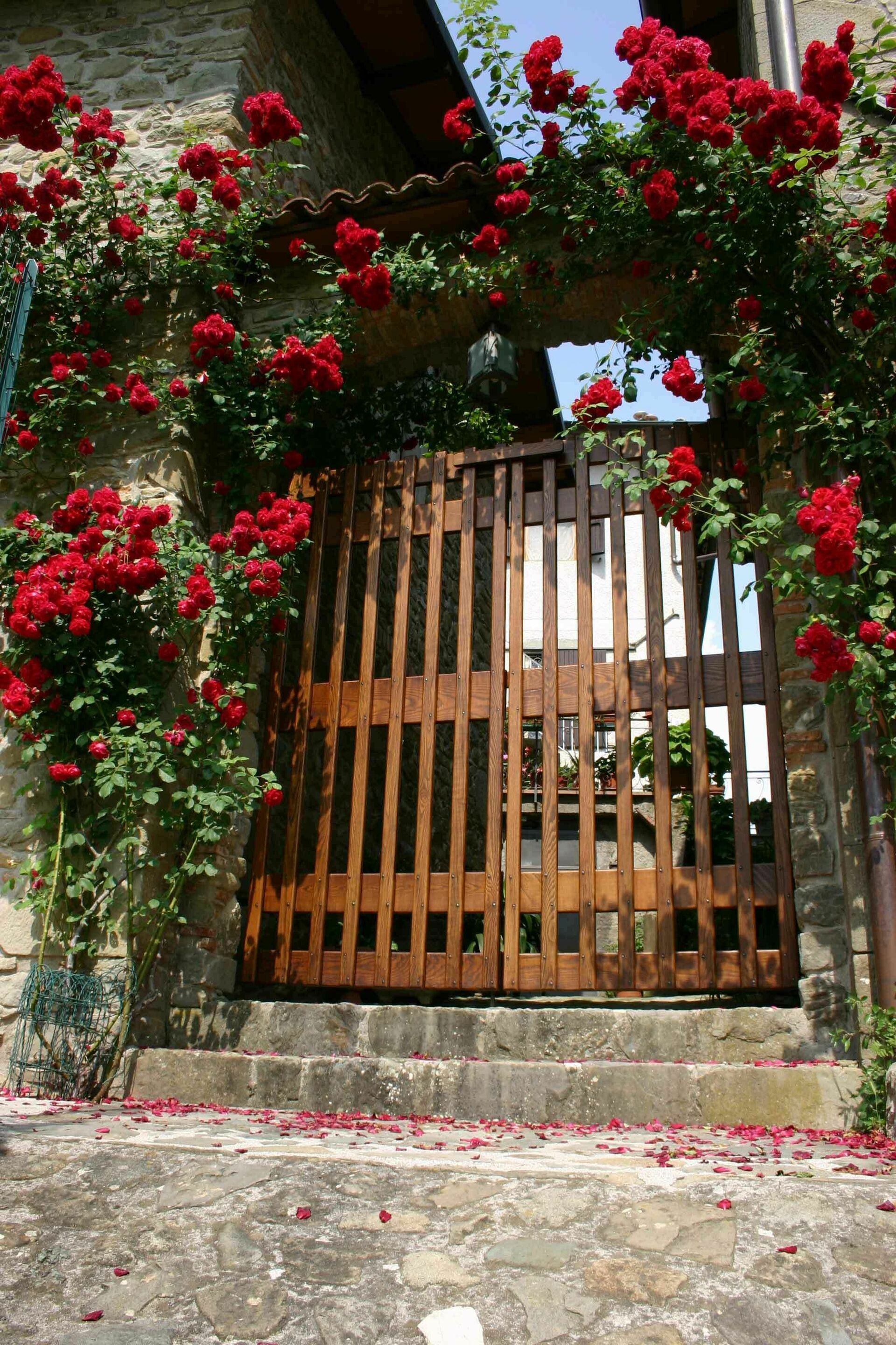 Il Palazzetto - foto 5