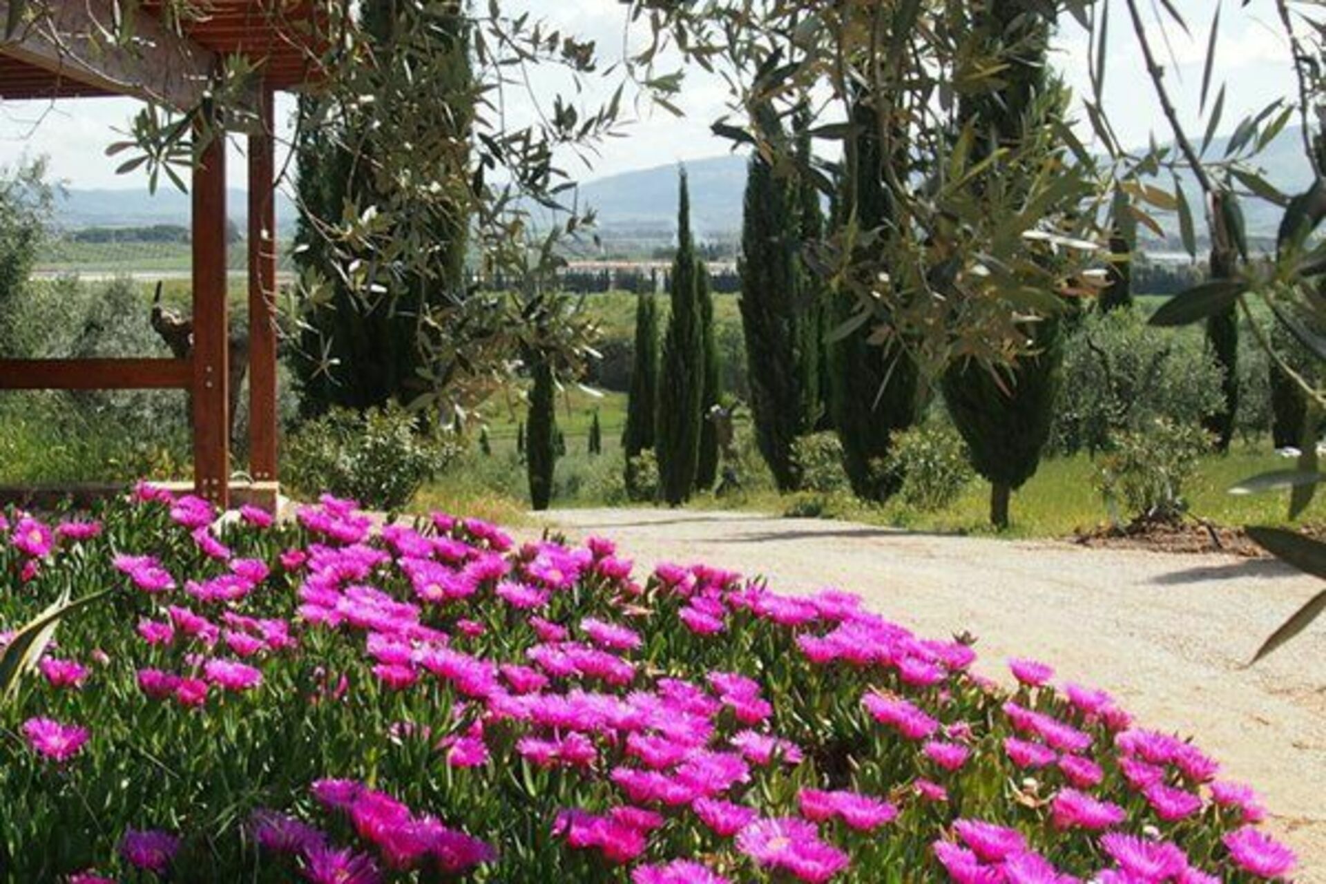 Villa Giulia Follonica - foto 5