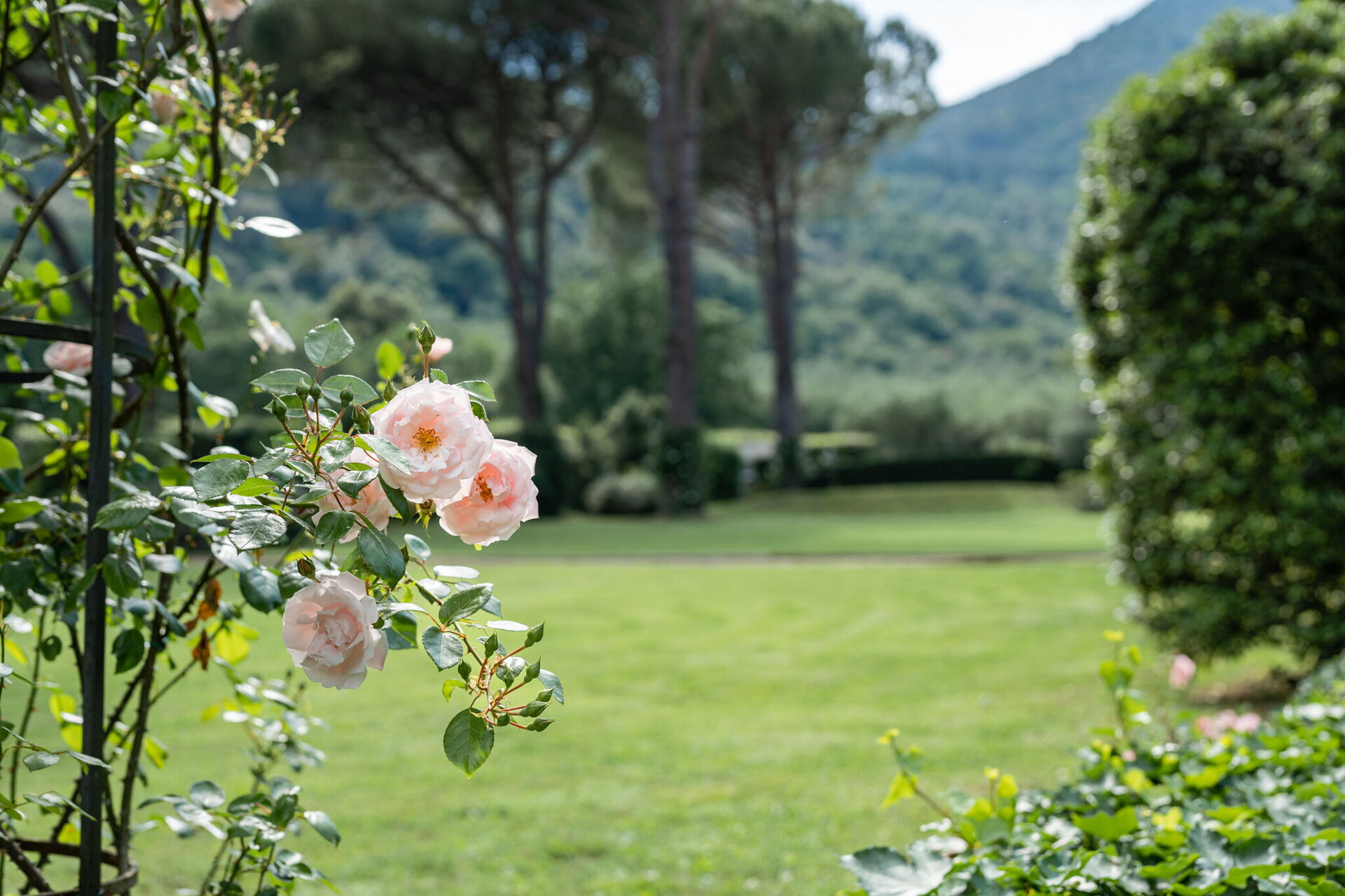 Villa De Ranieri badkamer in Lucca