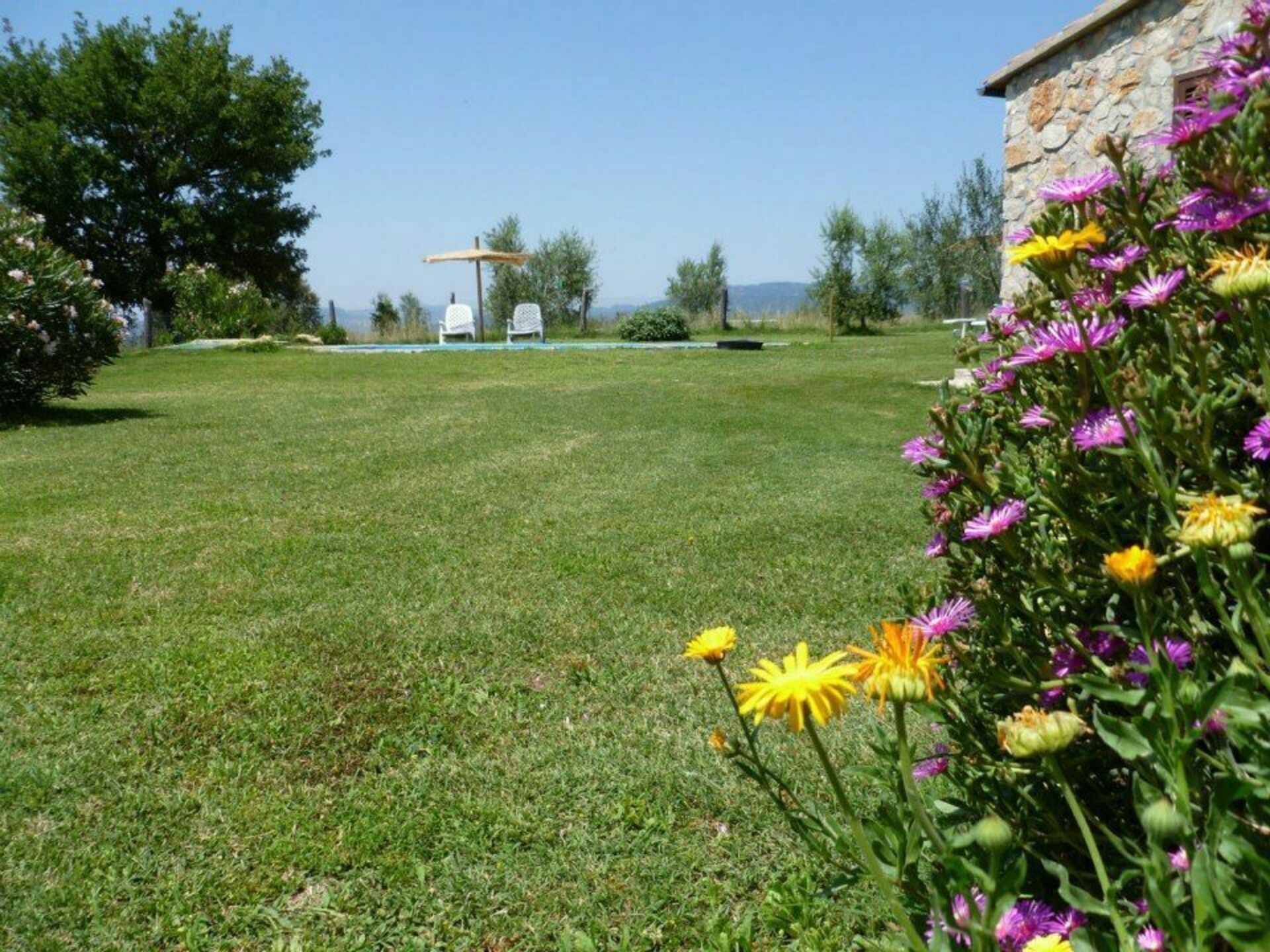 Funghi 1 slaapkamer in Pitigliano