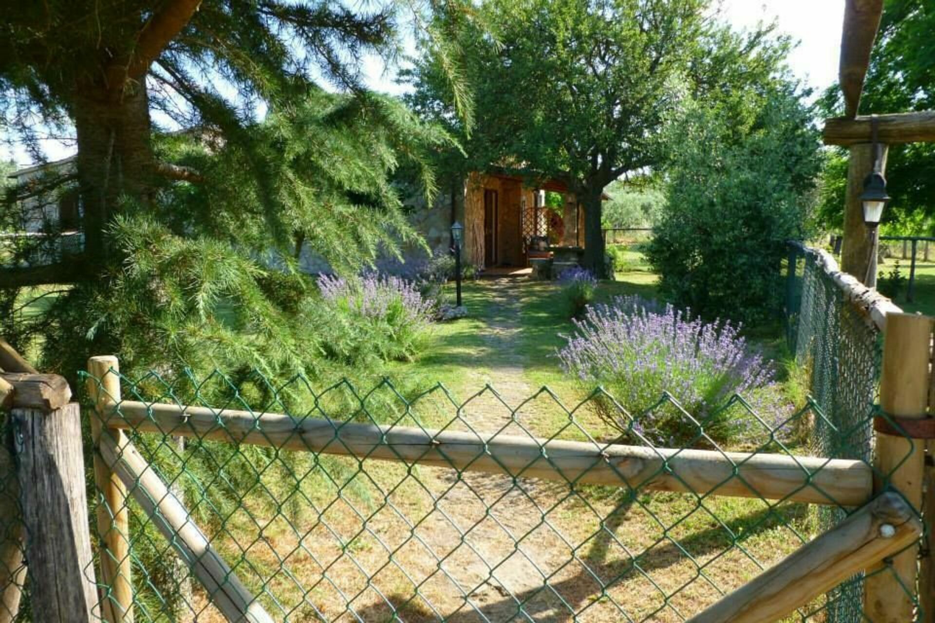 Funghi 1 keuken in Pitigliano