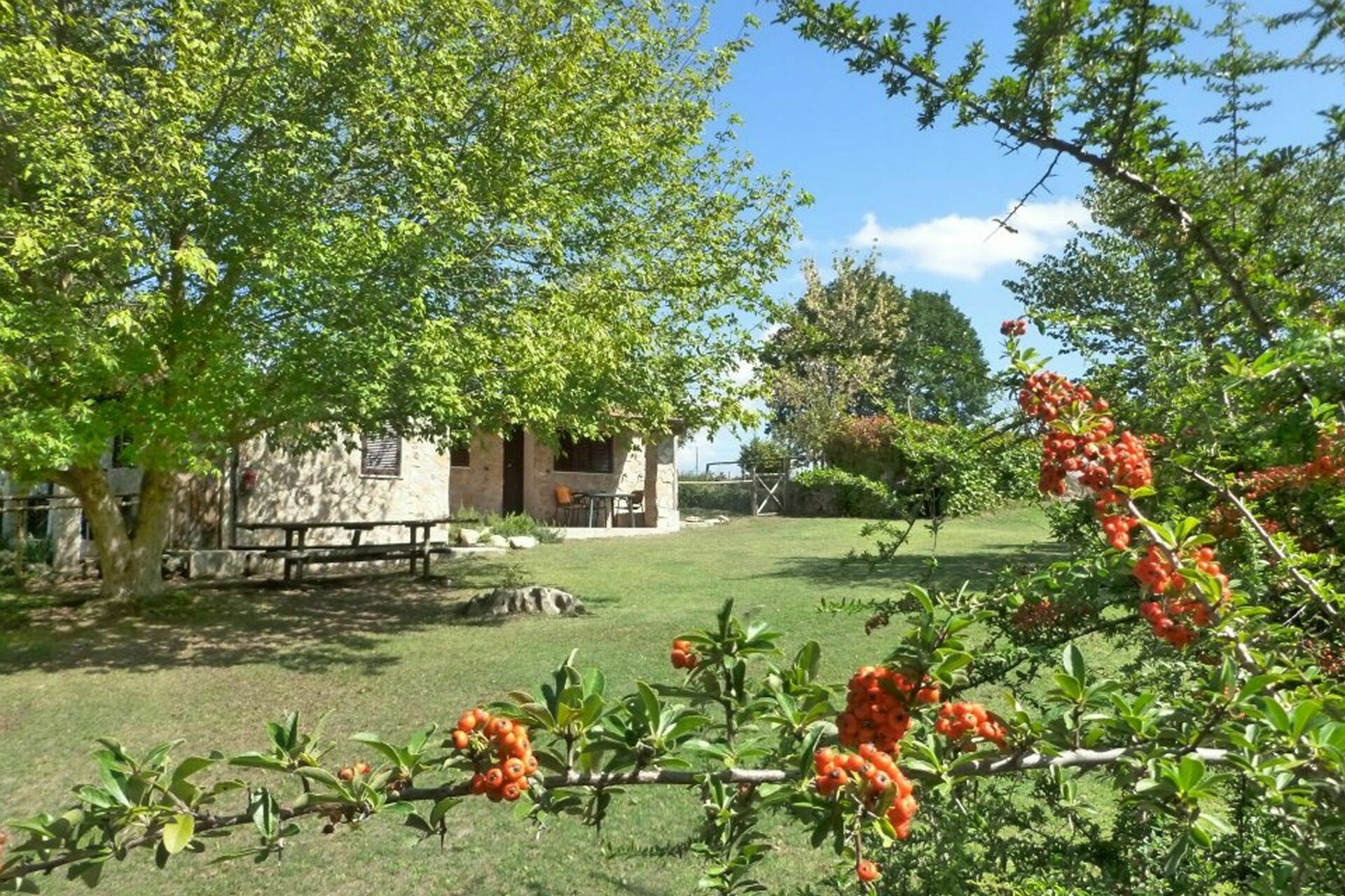 Funghi 2 keuken in Pitigliano