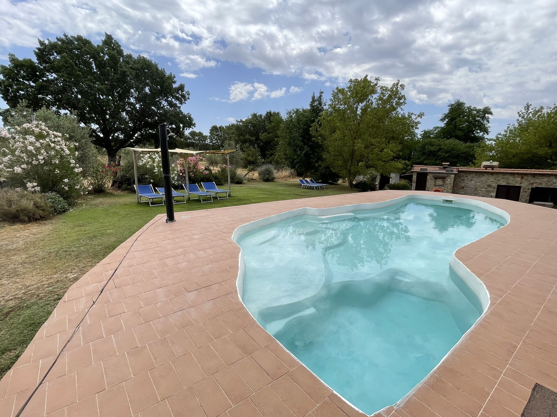 Funghi 2 interieur in Pitigliano