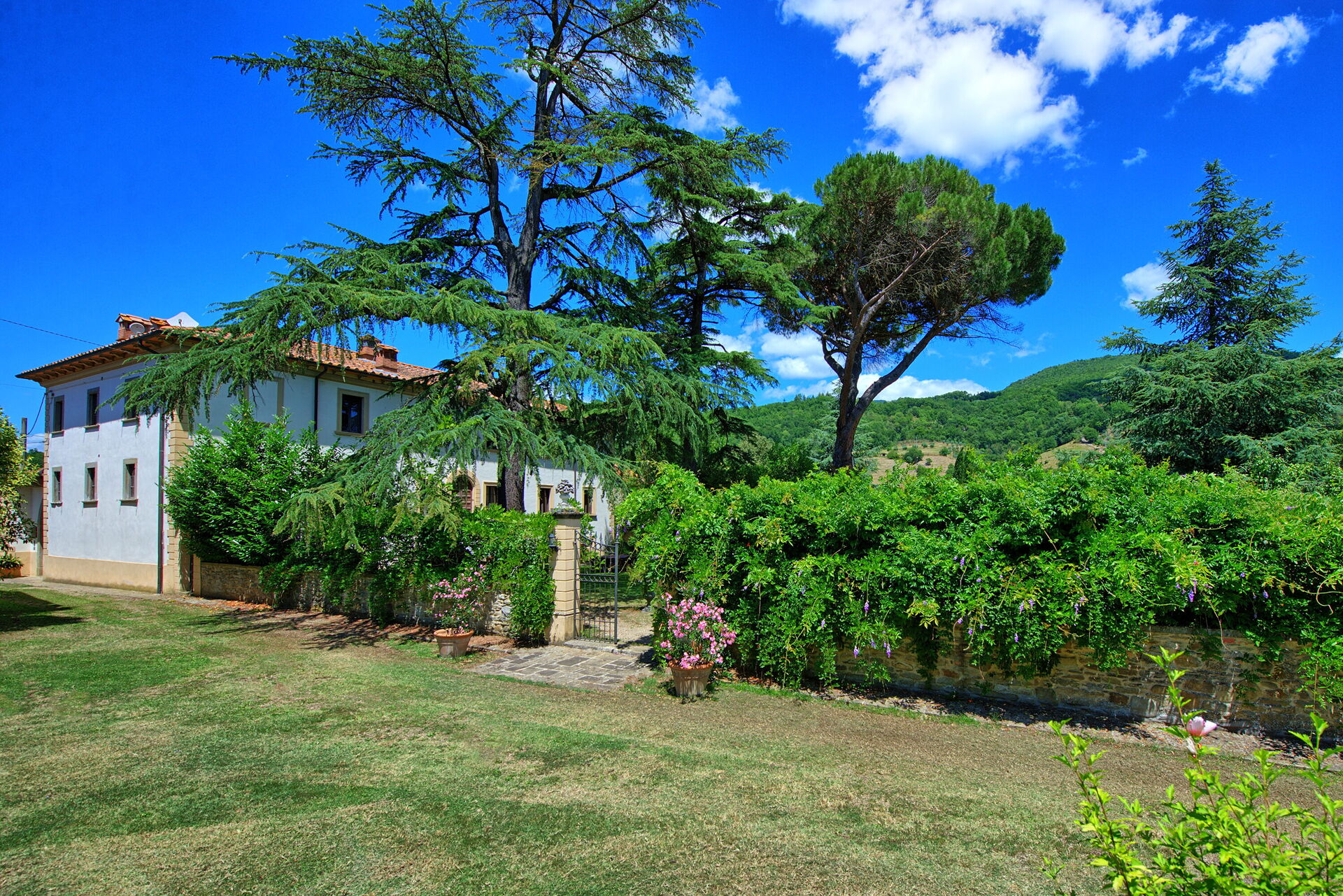 Villa Capolona - foto 5