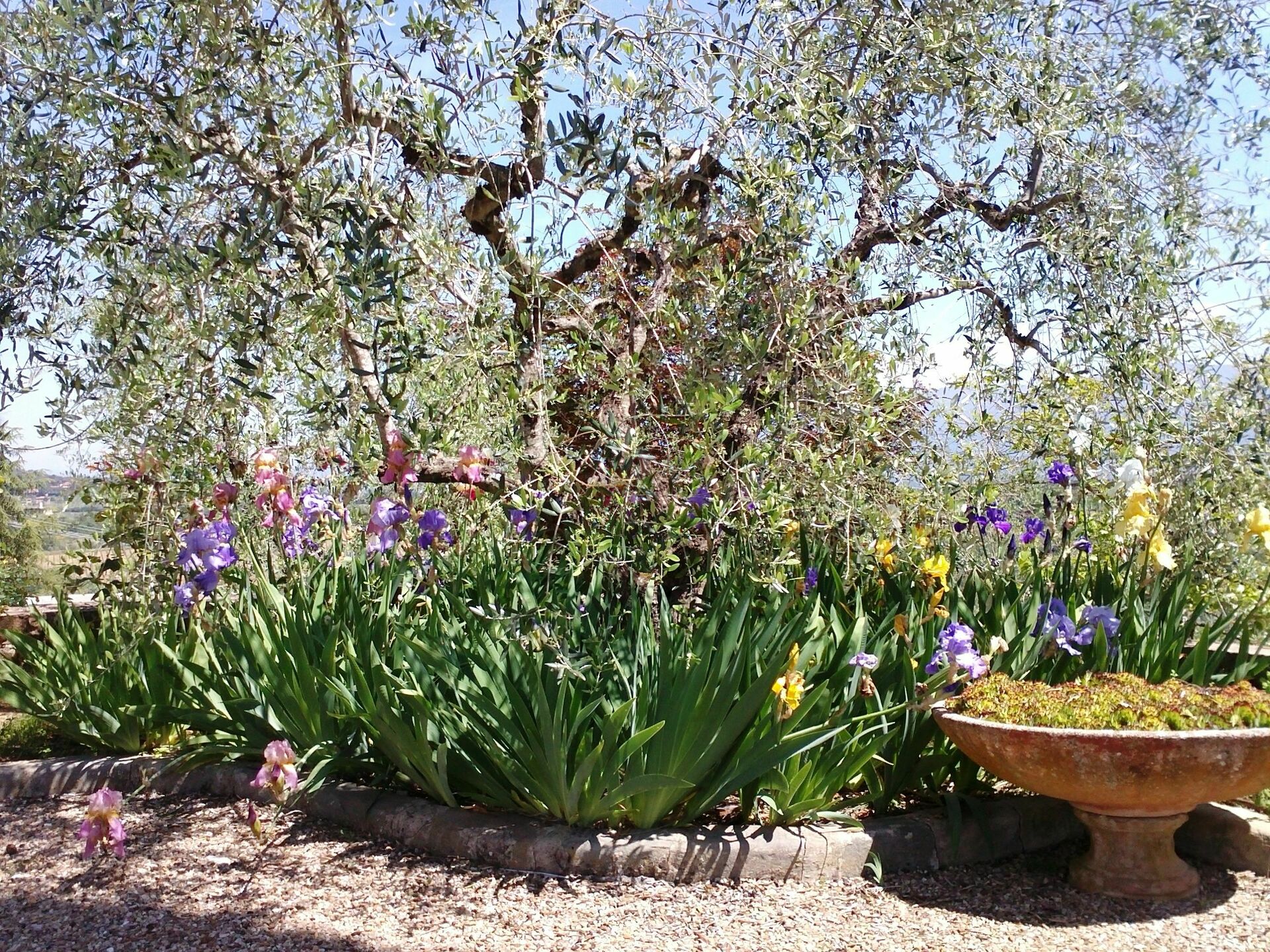 Villa Gaville keuken in Gaville