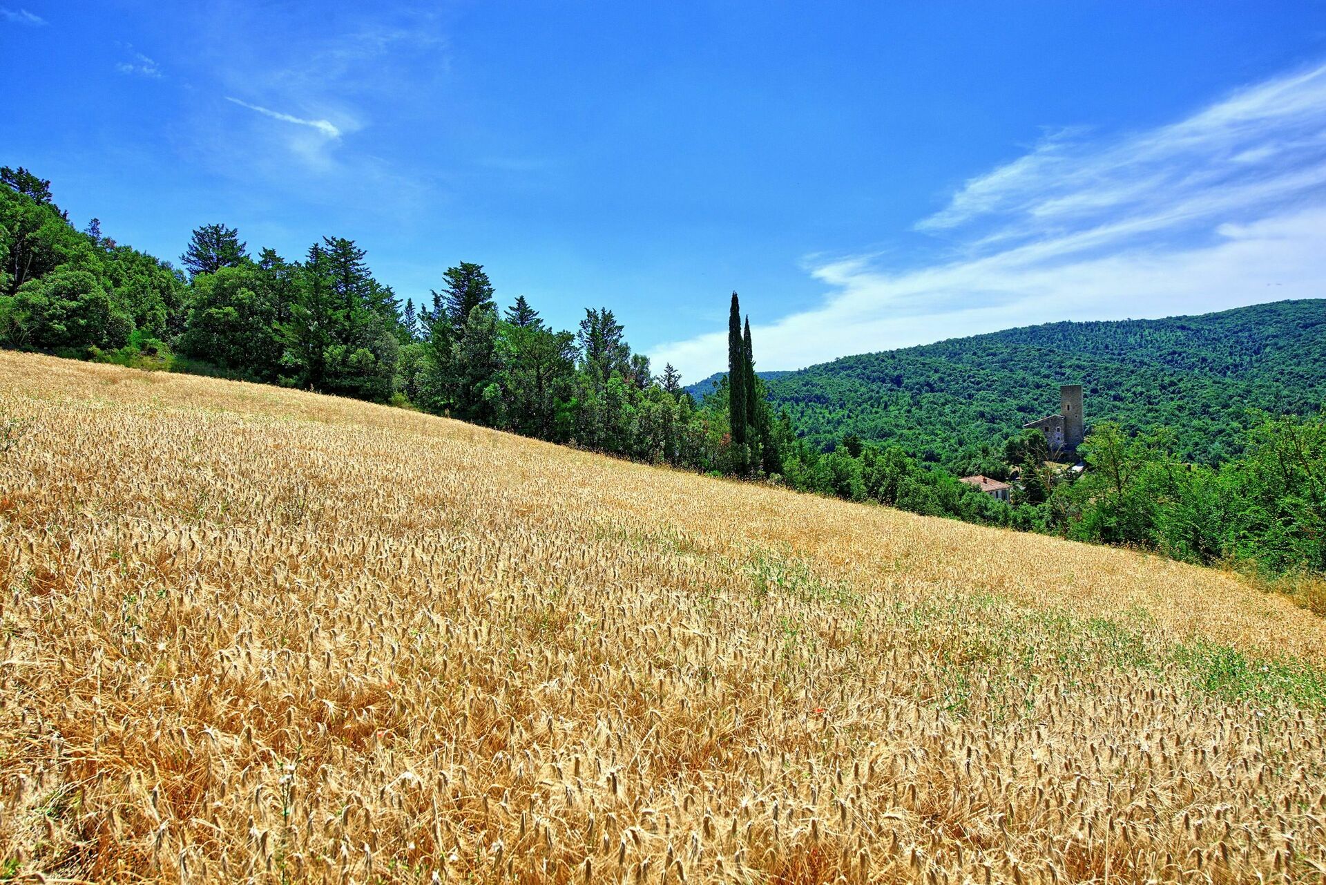 Villa Picchio interieur in Castel San Gimignano