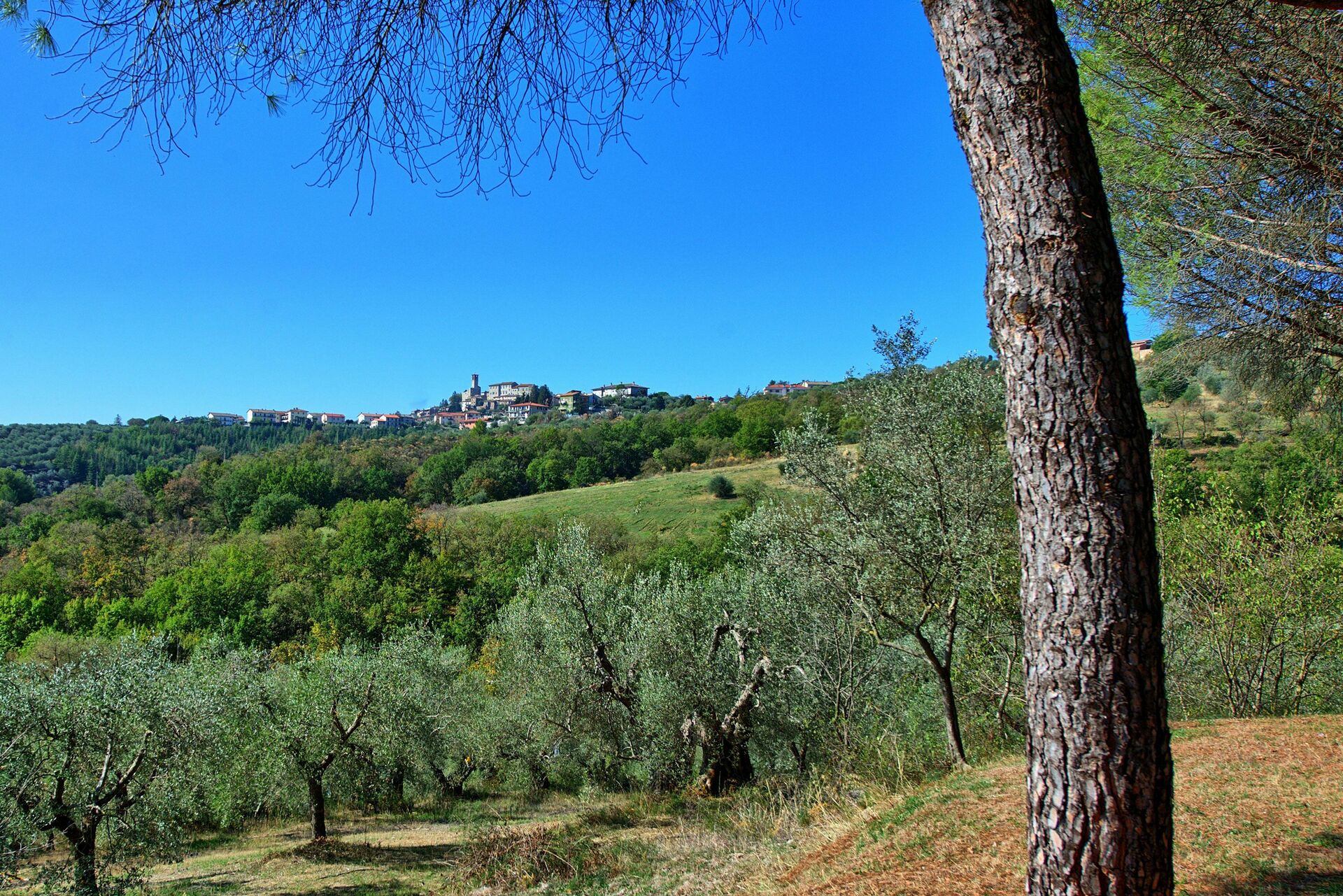 Villa Uccellaia keuken in Agello