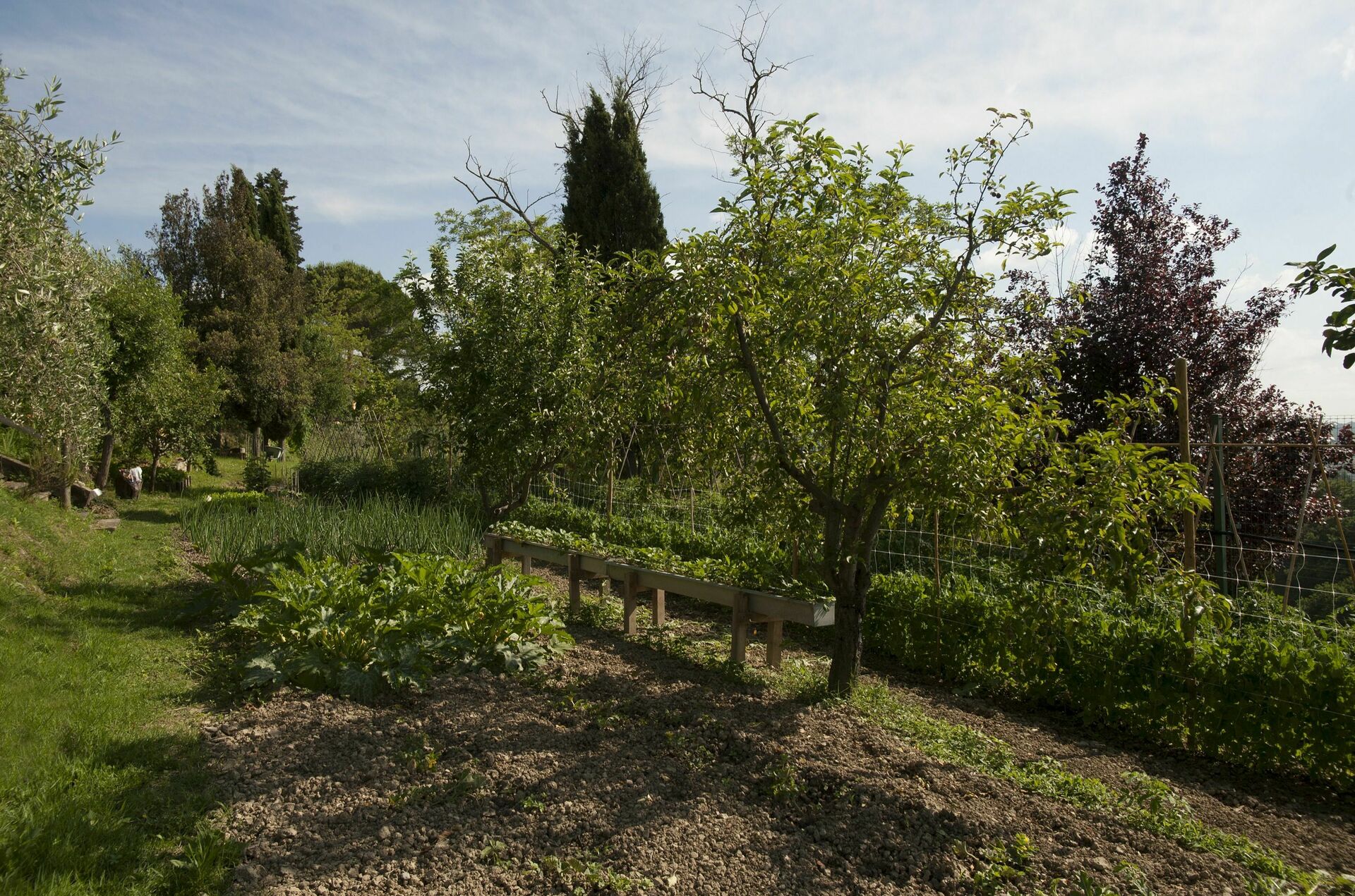 Tenuta Cambiano keuken in Colombaie
