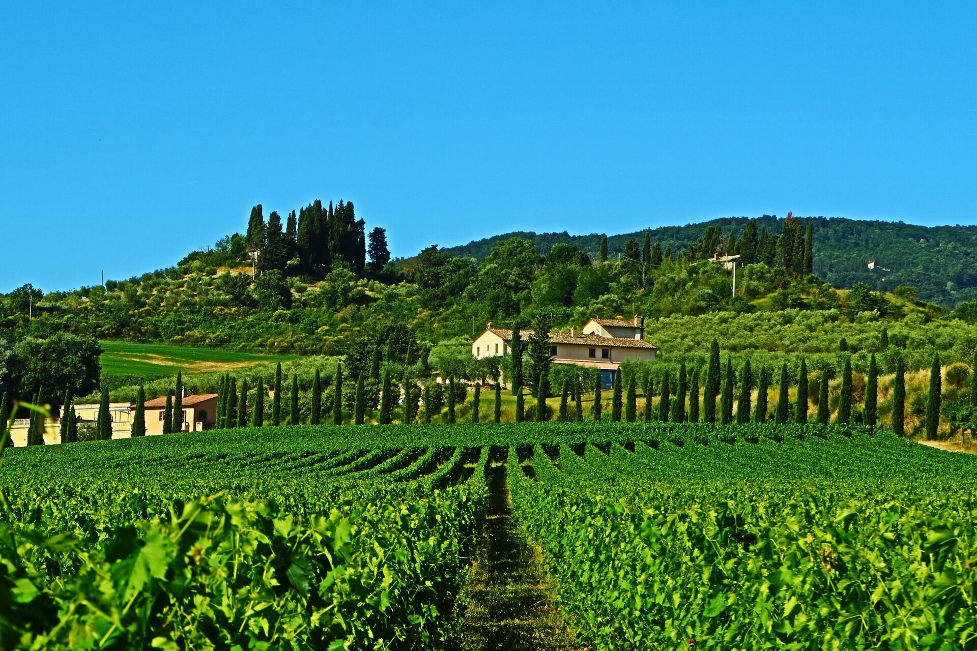 Villa Le Buche interieur in Sarteano