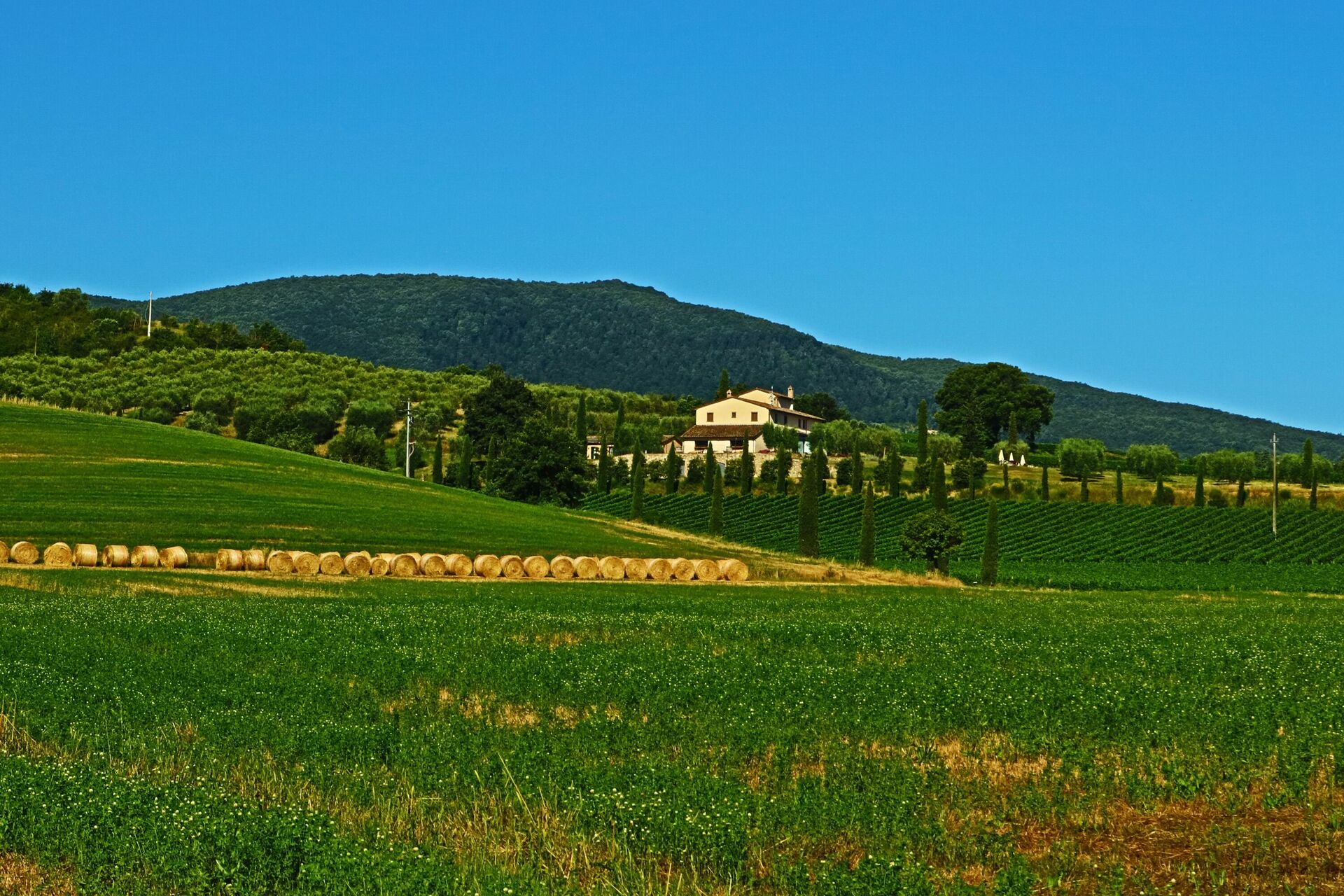 Villa Le Buche tuin in Sarteano