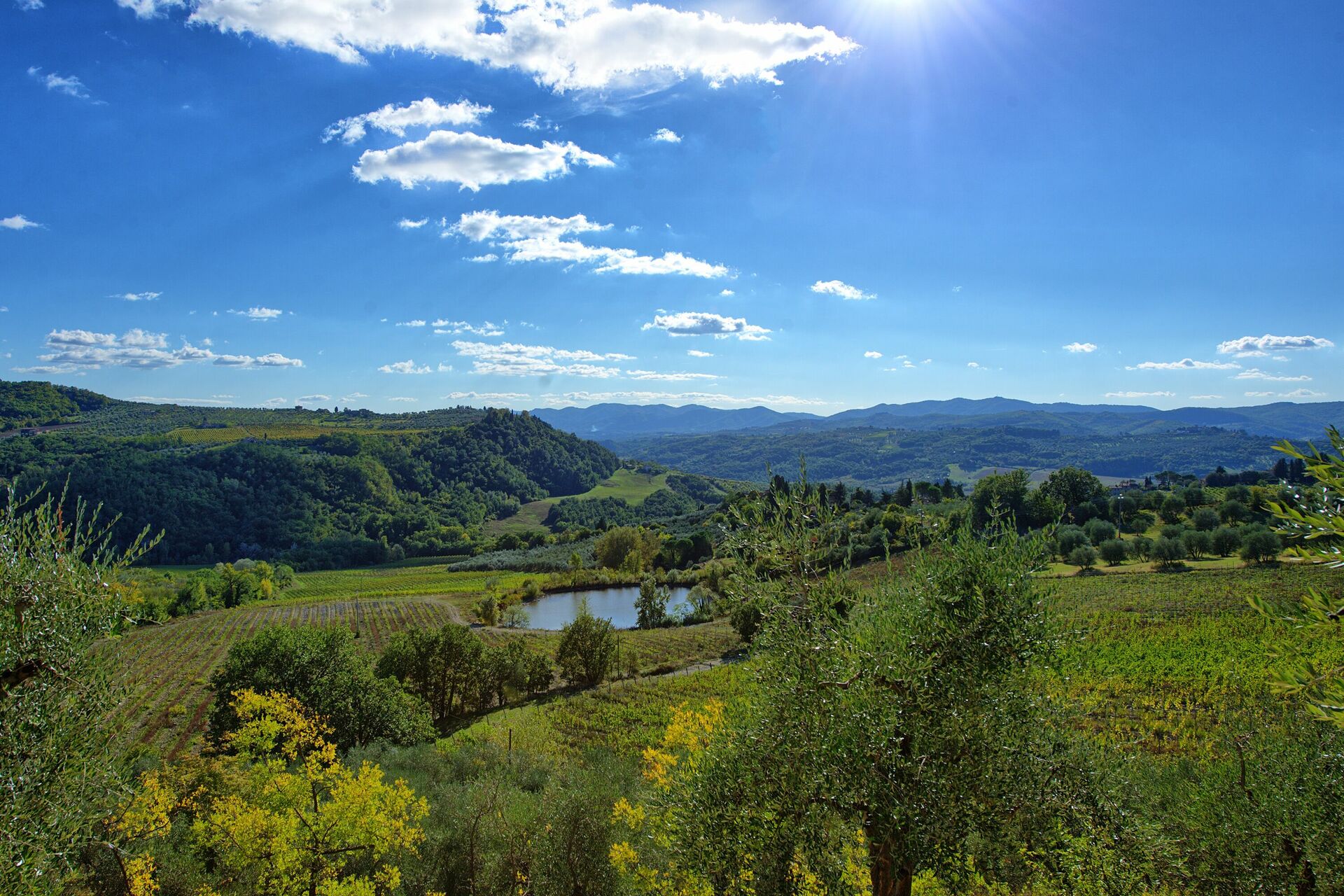 San Guido interieur in Pelago