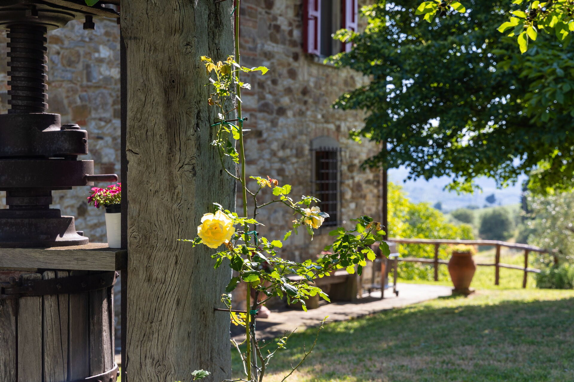San Guido interieur in Pelago