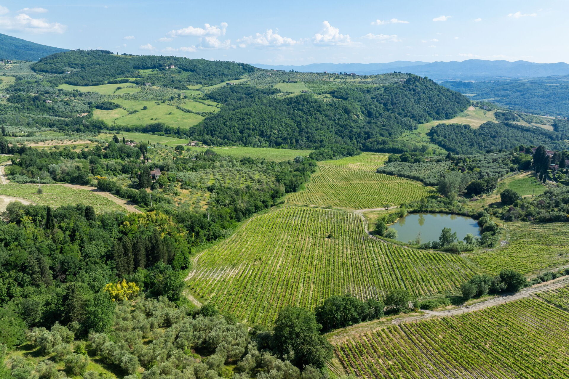 San Guido interieur in Pelago