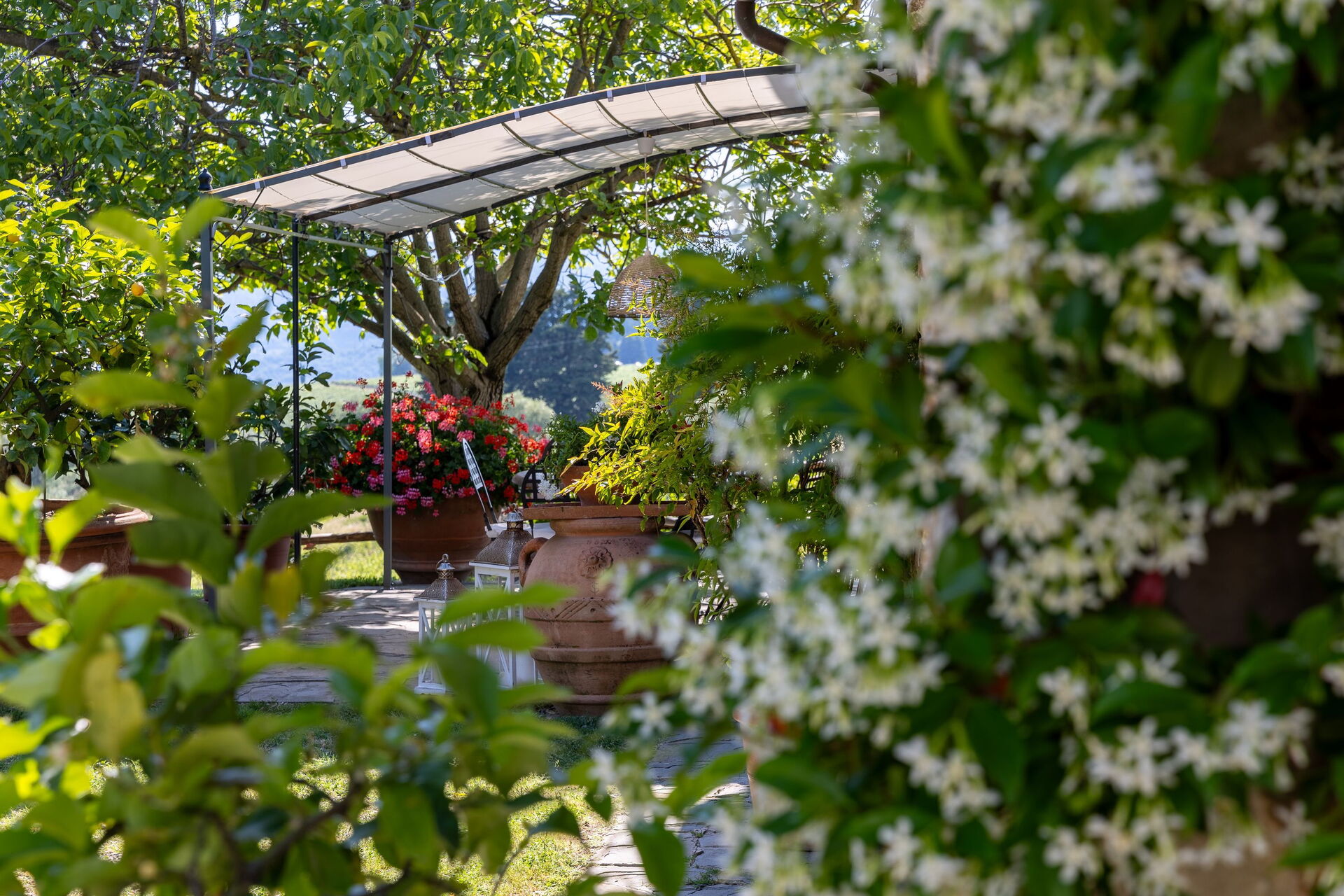 San Guido interieur in Pelago