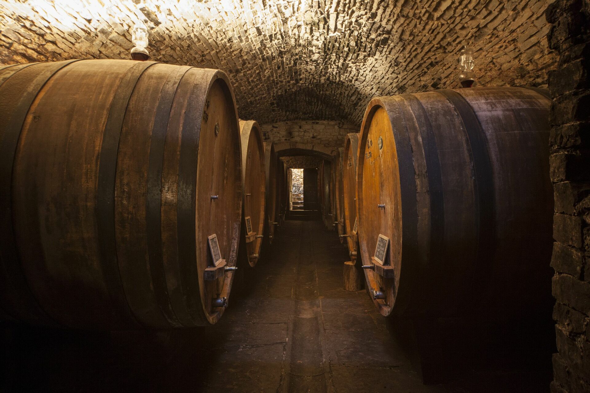 Villa Paneretta interieur in Monsanto Ii