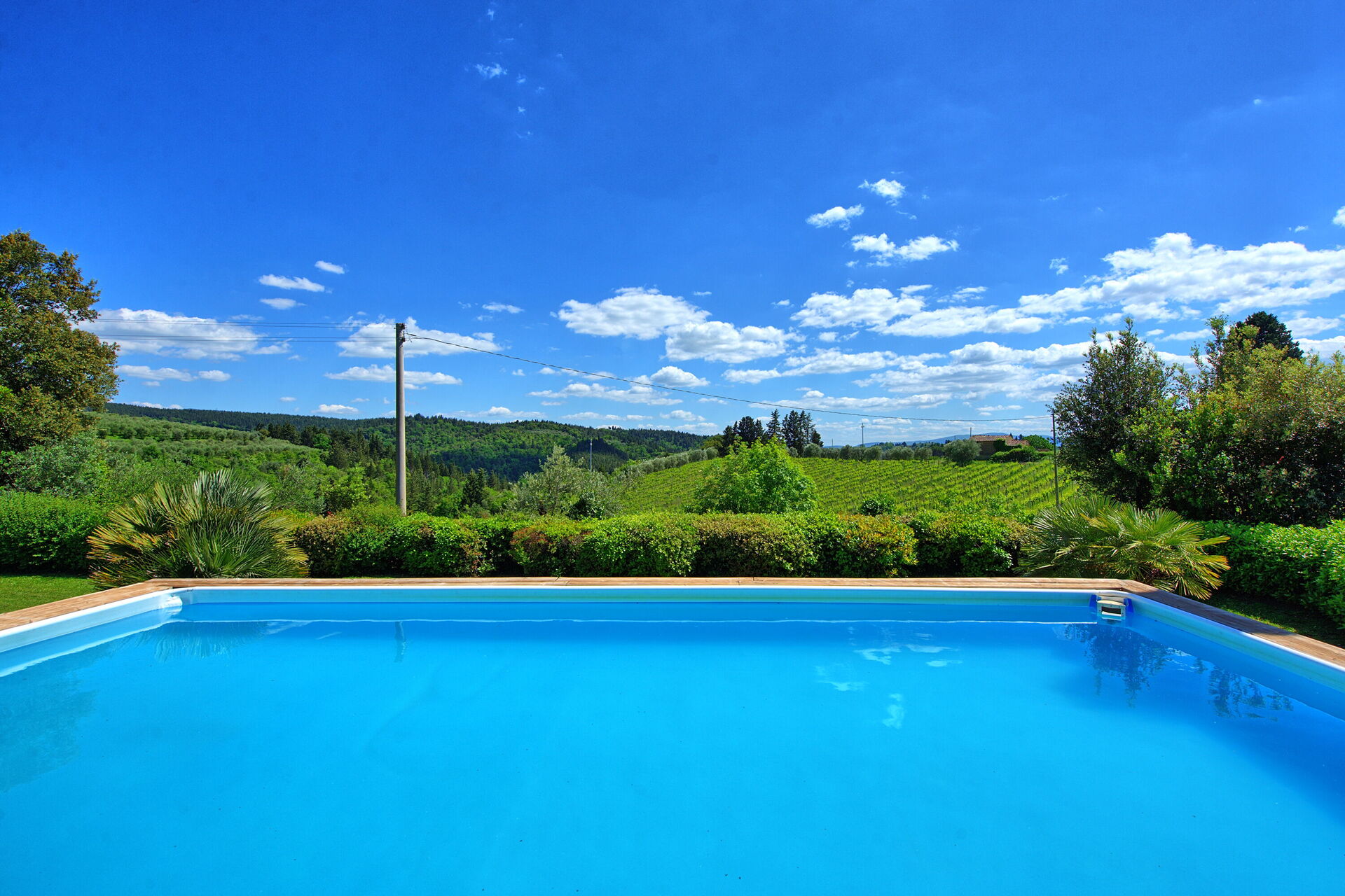 Villa Paneretta tuin in Monsanto Ii