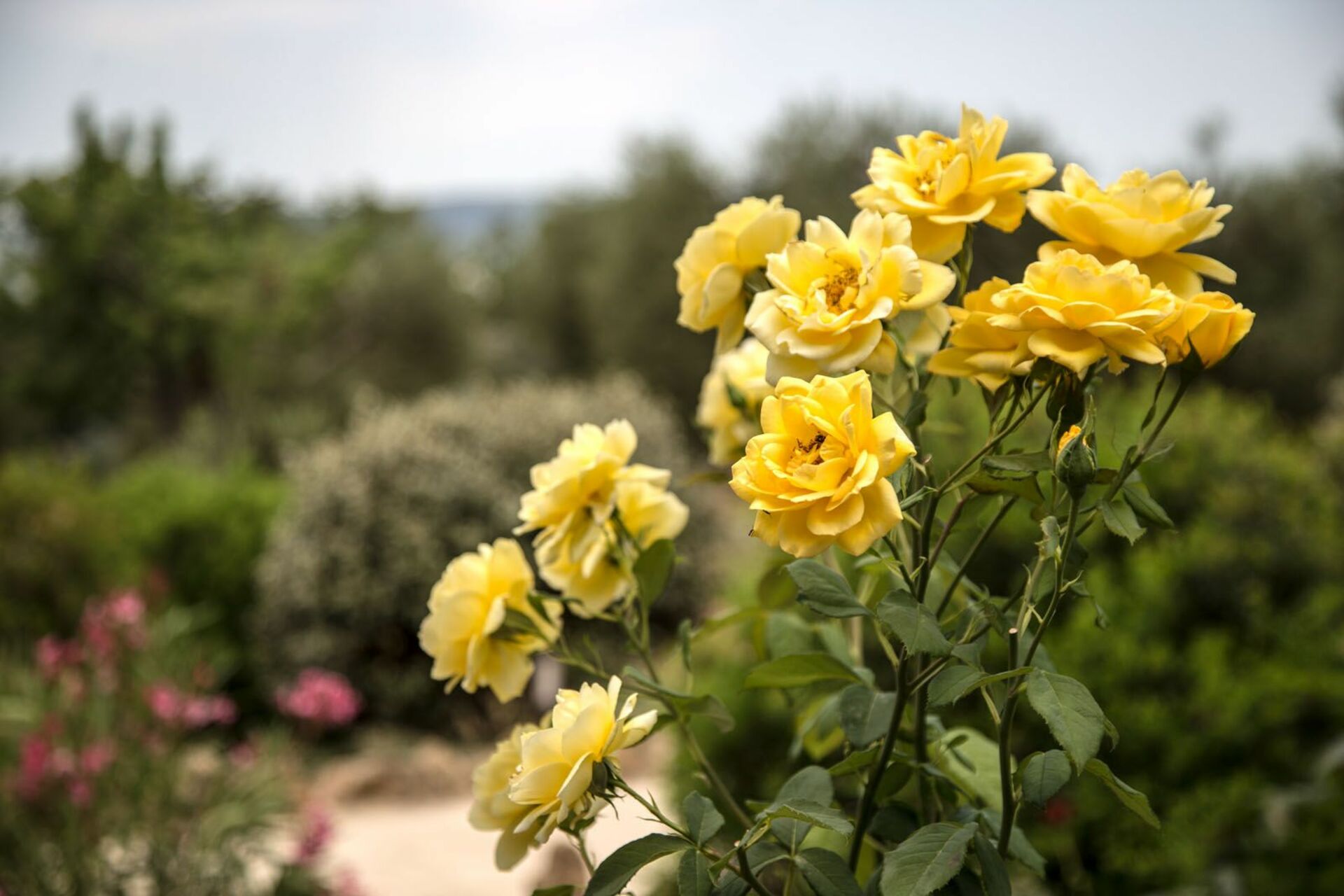 Villa Chiugi keuken in Seggiano
