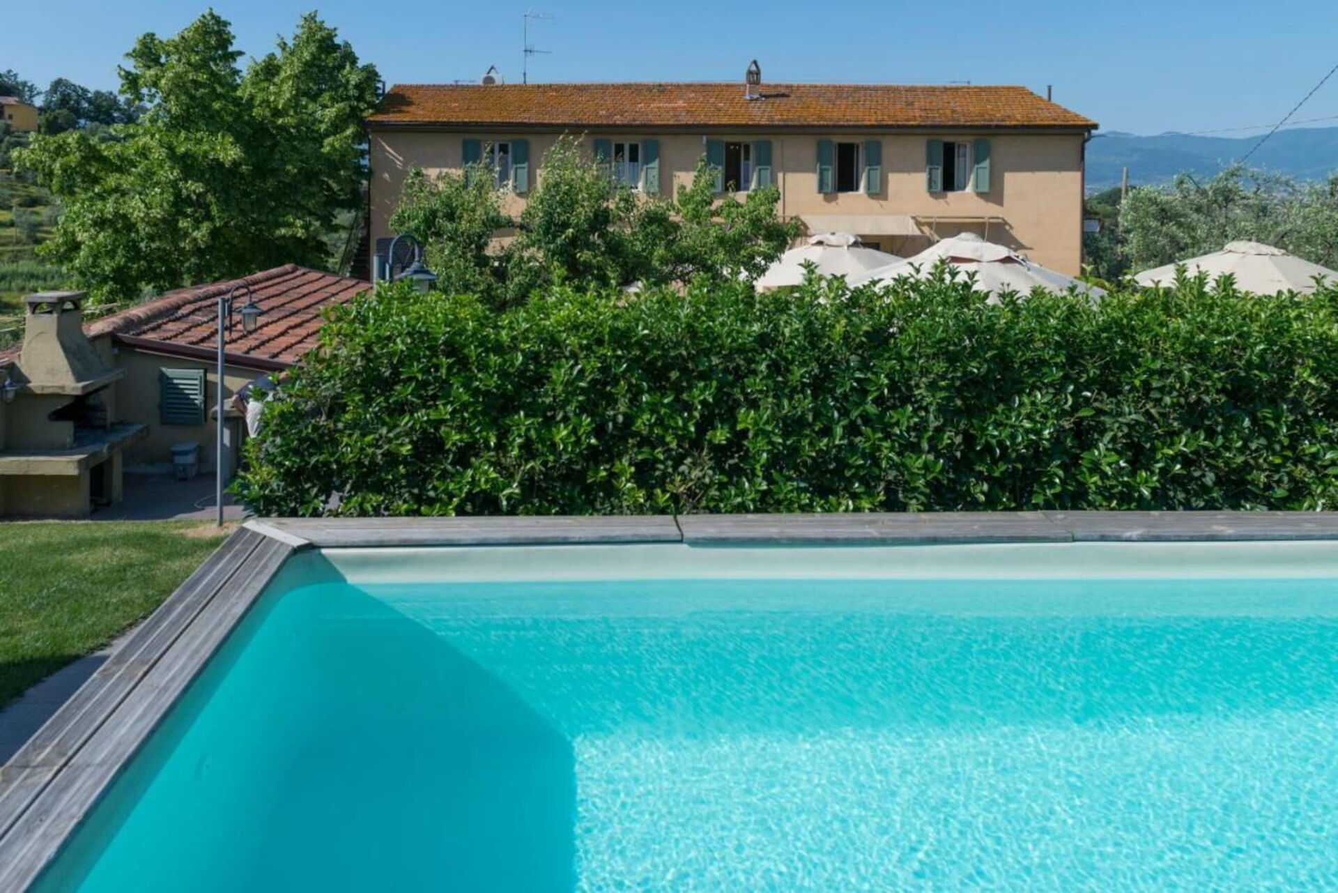 Giallone in Cantagrillo, Toscane