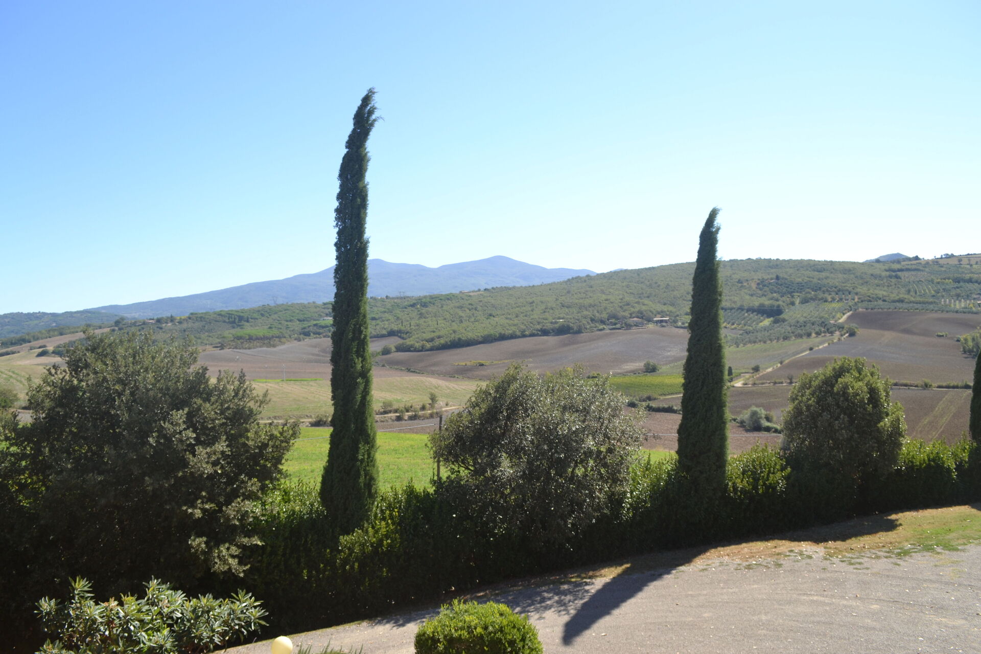 Podere Peteglia - foto 3