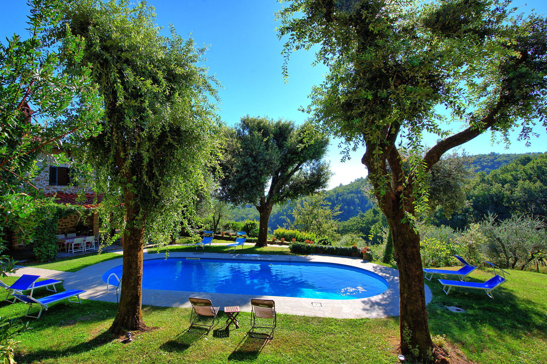 Villa Ulivacci - foto 3
