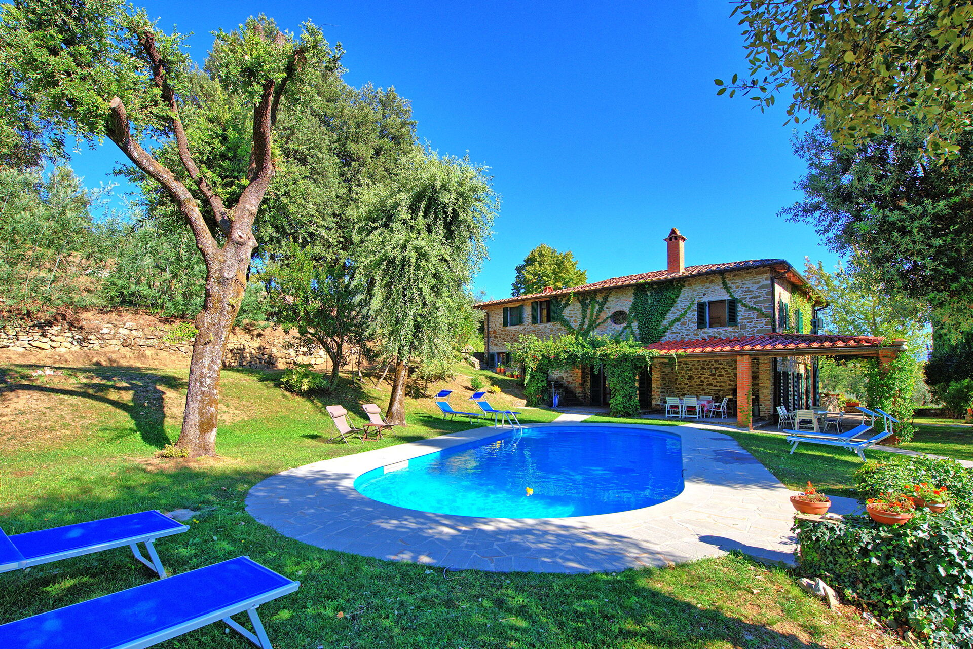 Villa Ulivacci - foto 5
