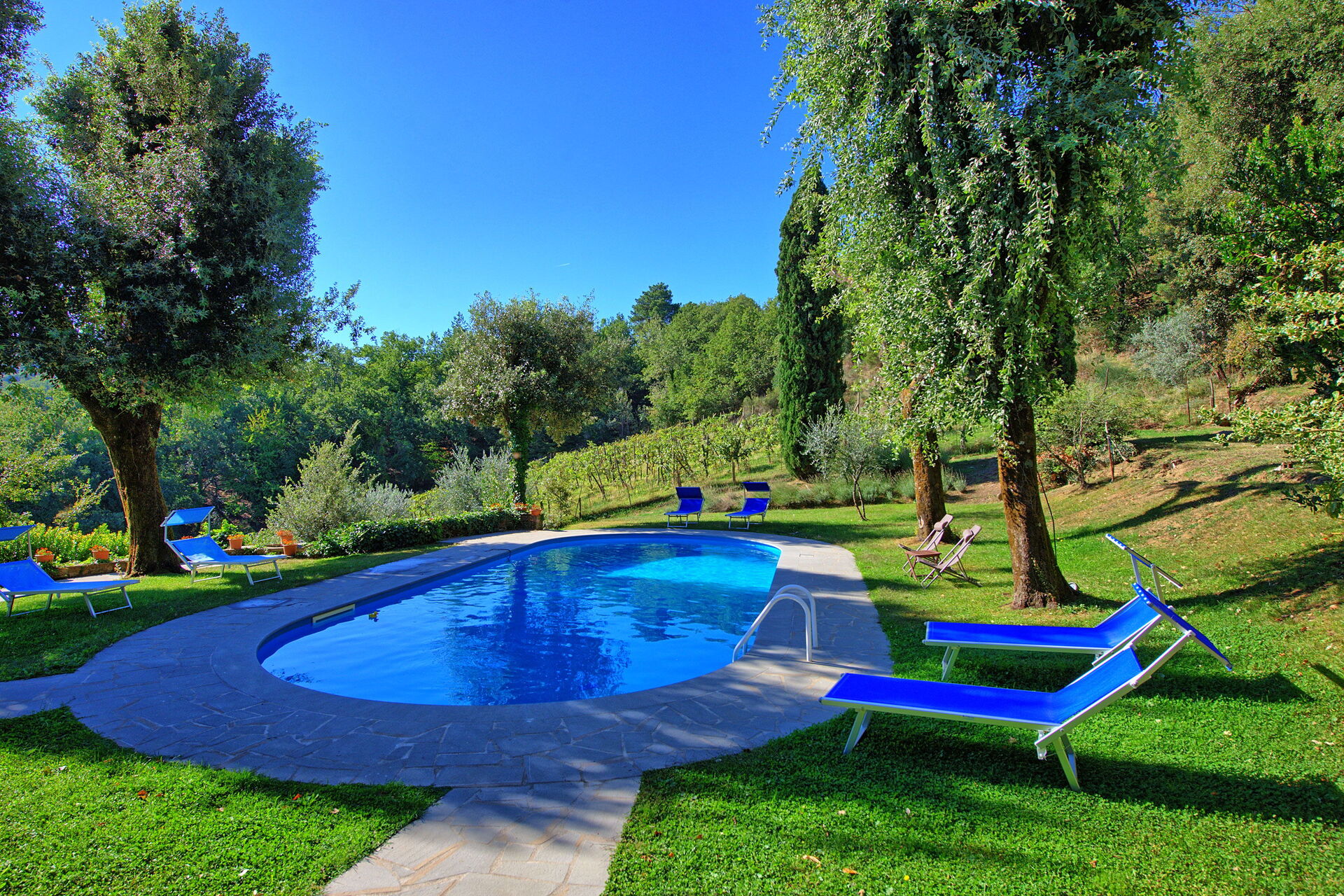 Villa Ulivacci - foto 6
