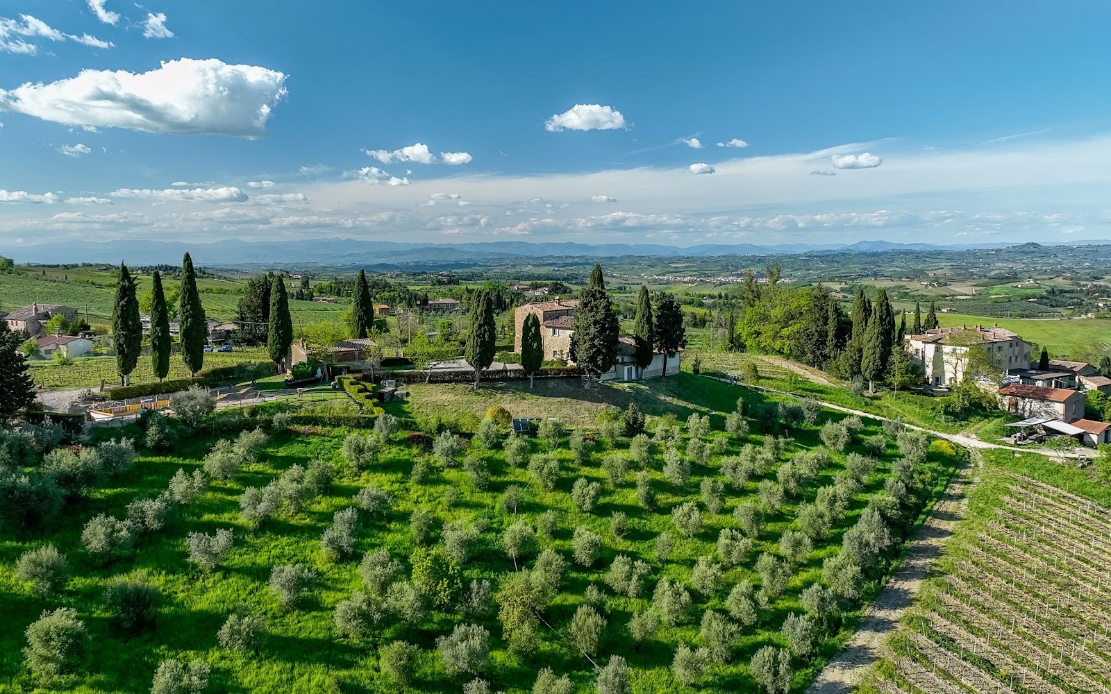 Villa Pettirosso - foto 5