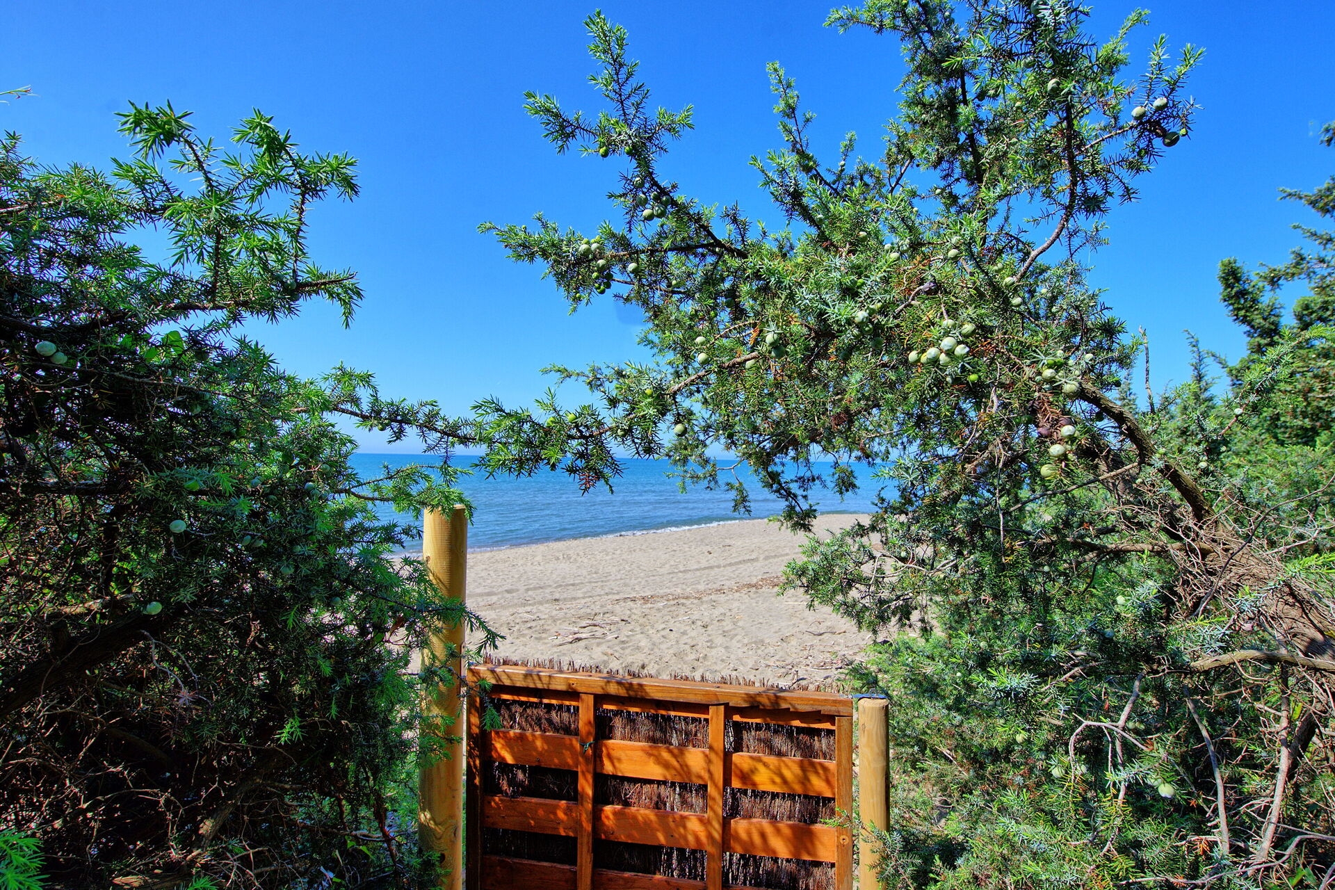 Le Dune in Castiglione Della Pescaia, Toscane