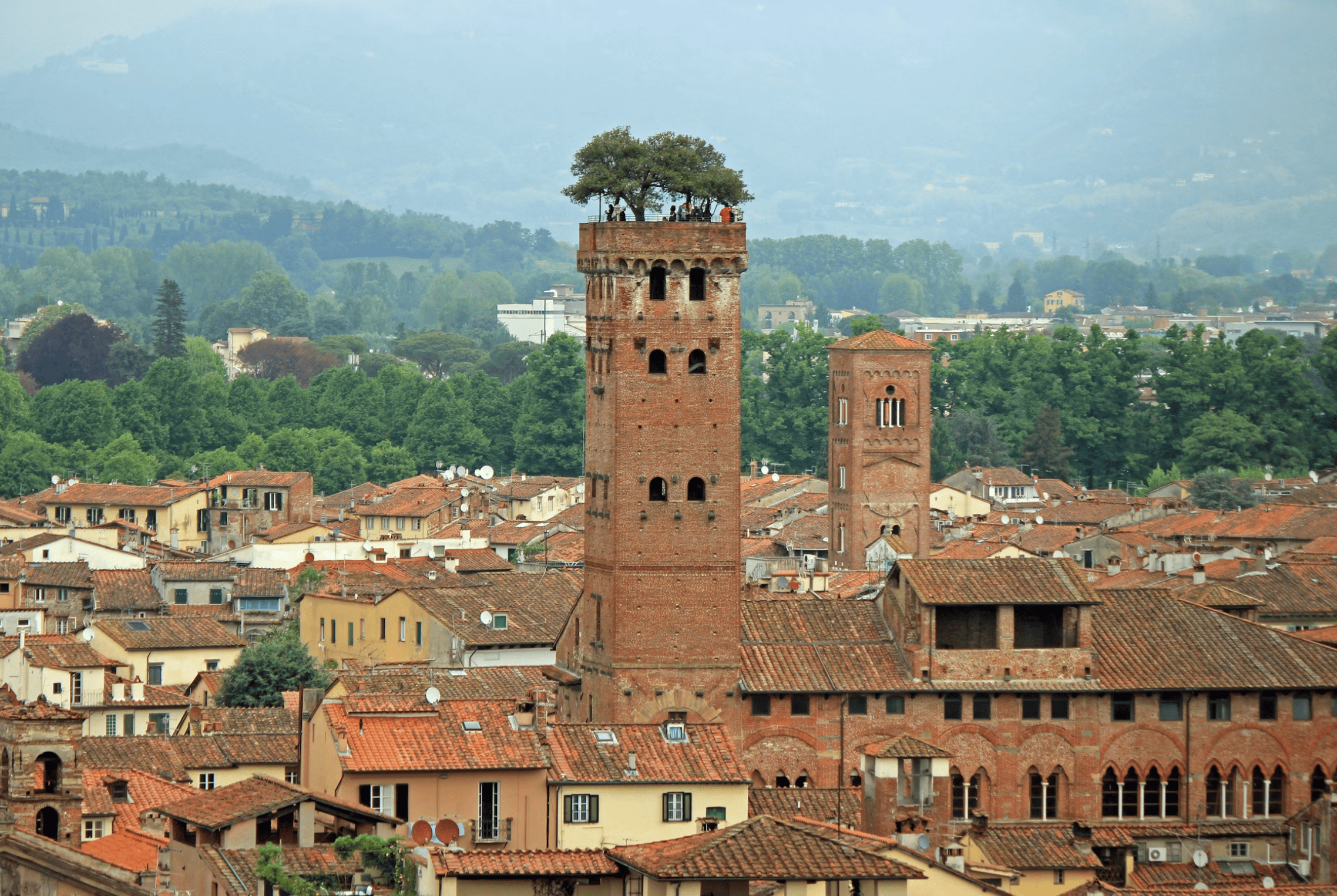 Torre Guinigi