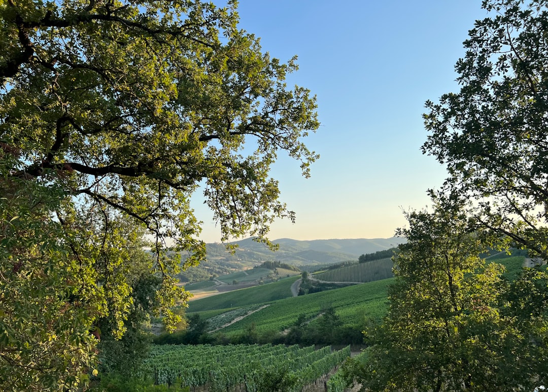 Beste Regio in Toscane voor een Vakantiehuis: Jouw Ultieme Gids