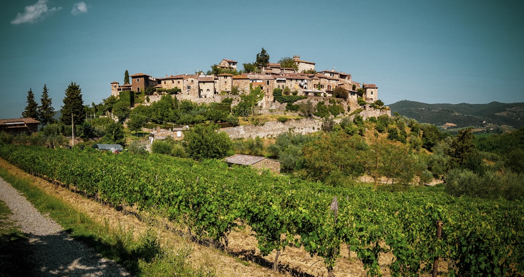 Wijnroutes in Toscane: Ontdek Chianti en Montalcino
